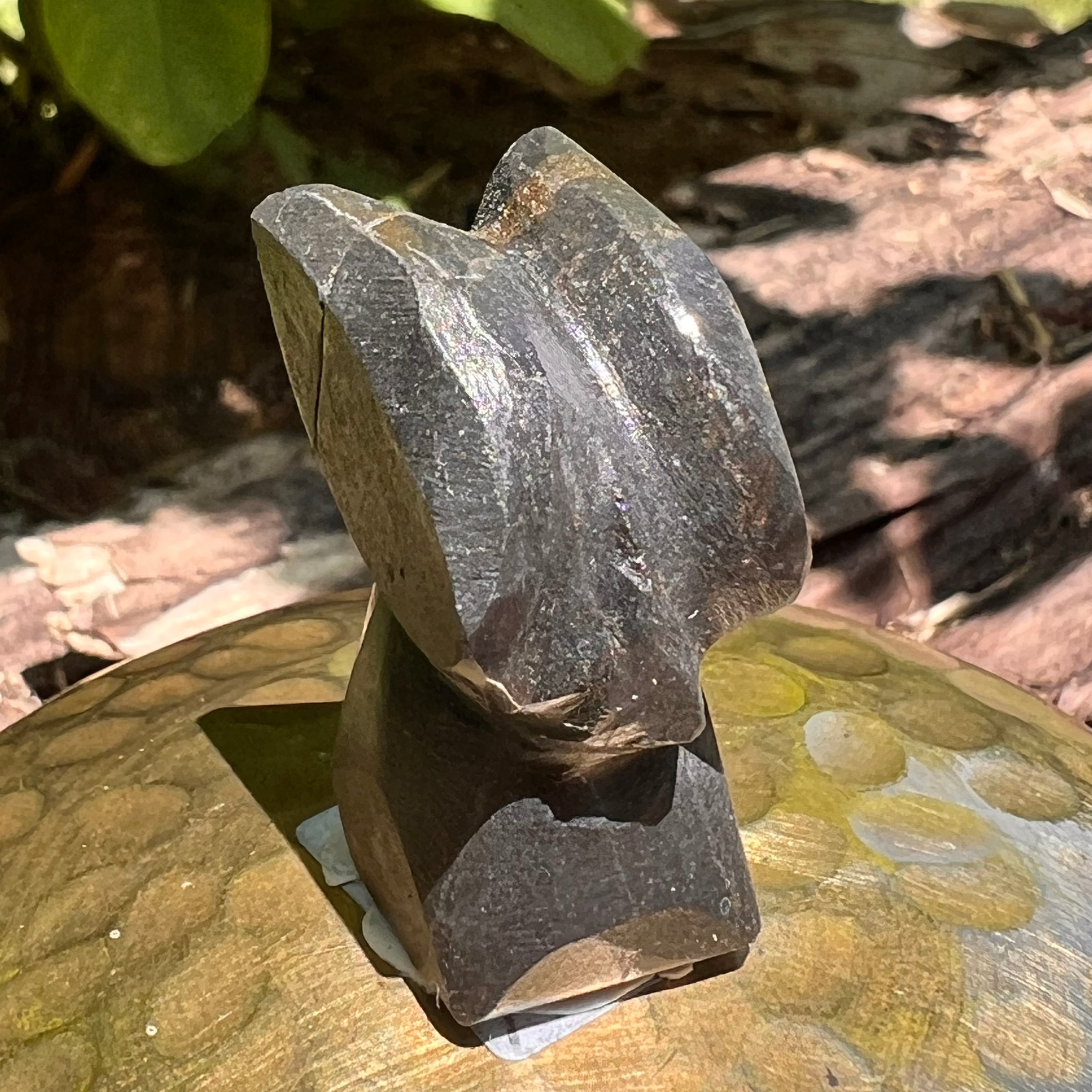 Alien Crystal Carving - Alienite® Star Being #49-Moldavite Life