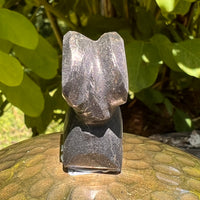 Alien Crystal Carving - Alienite® Star Being #49-Moldavite Life