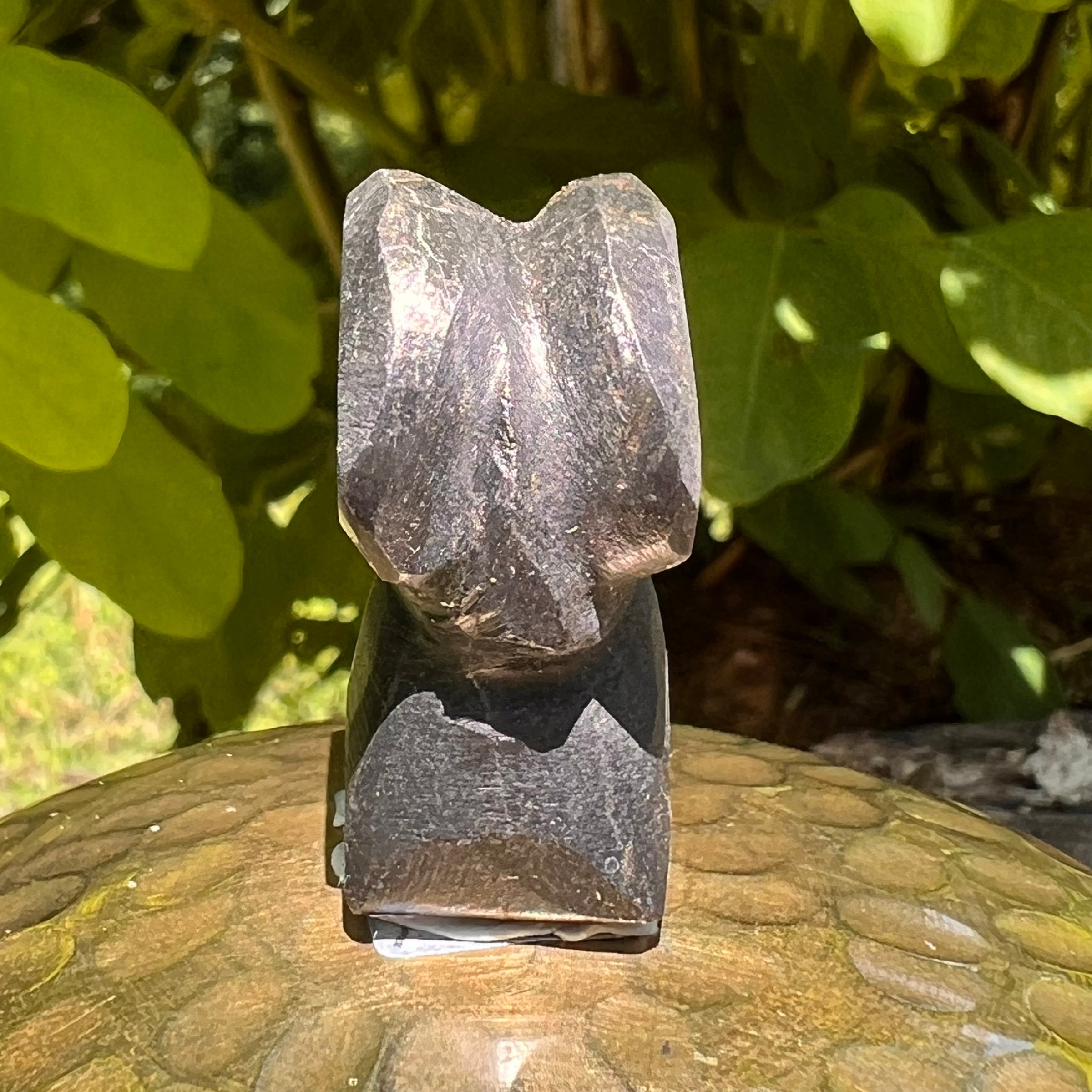 Alien Crystal Carving - Alienite® Star Being #49-Moldavite Life