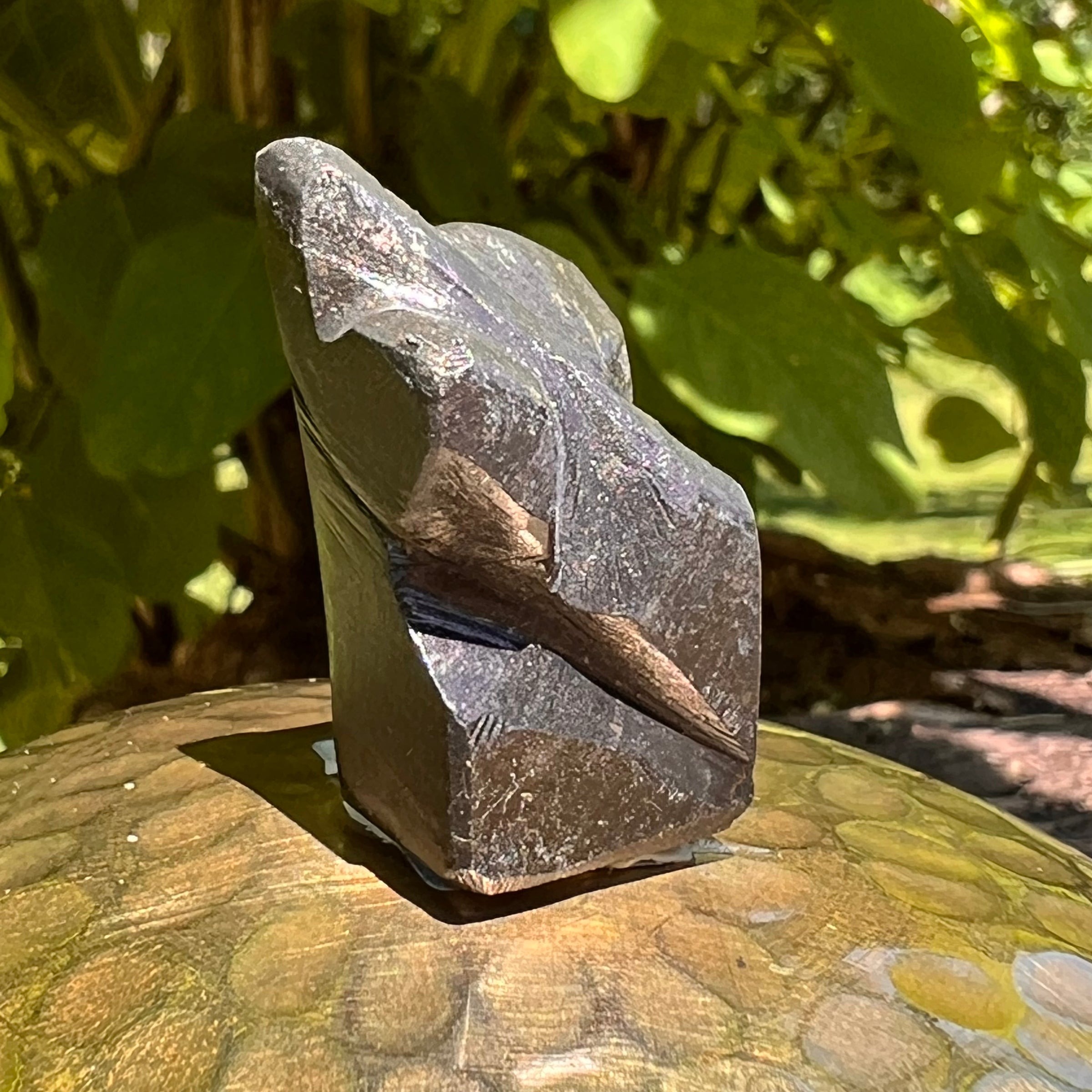 Alien Crystal Carving - Alienite® Star Being #50-Moldavite Life