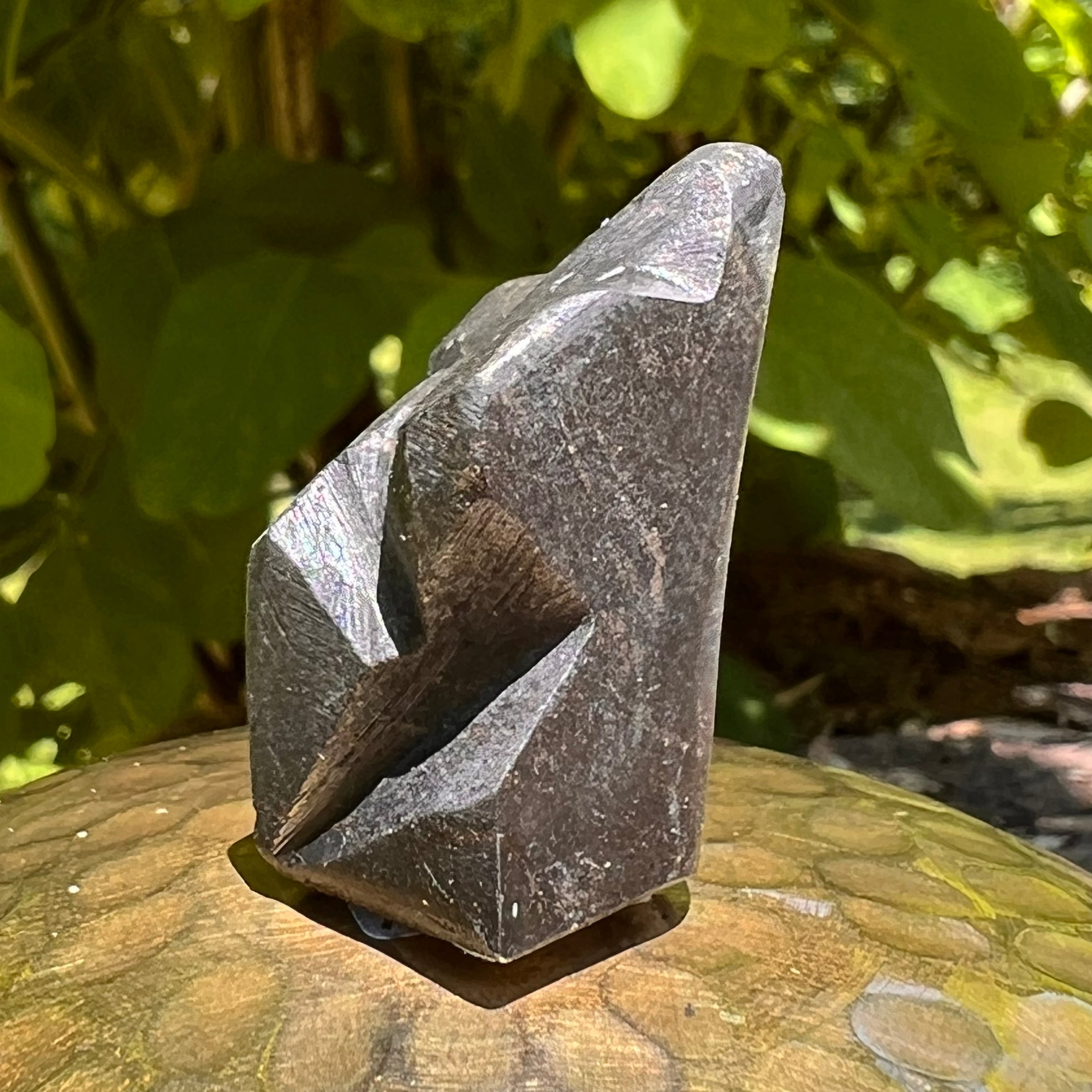 Alien Crystal Carving - Alienite® Star Being #50-Moldavite Life