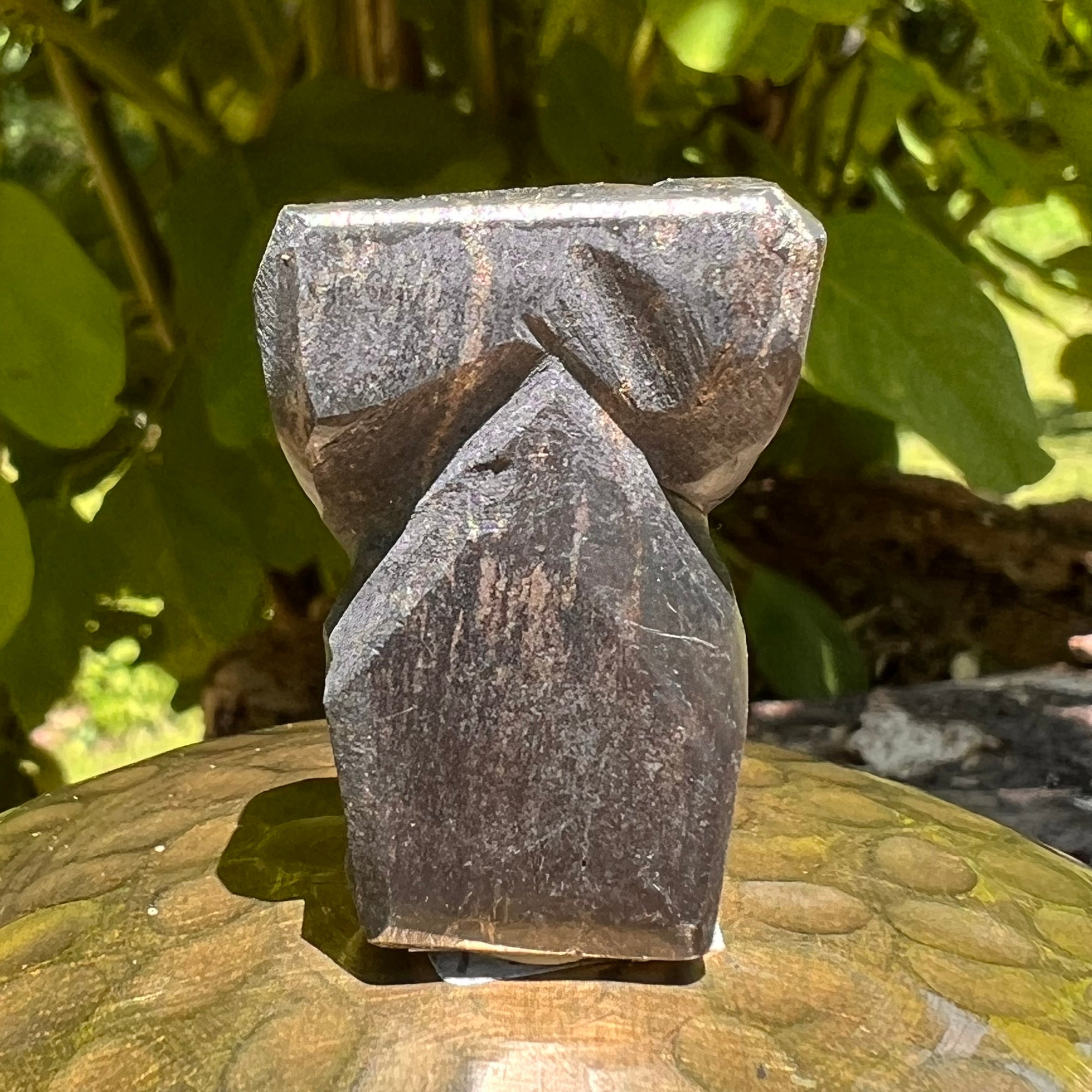 Alien Crystal Carving - Alienite® Star Being #51-Moldavite Life