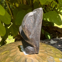 Alien Crystal Carving - Alienite® Star Being #52-Moldavite Life