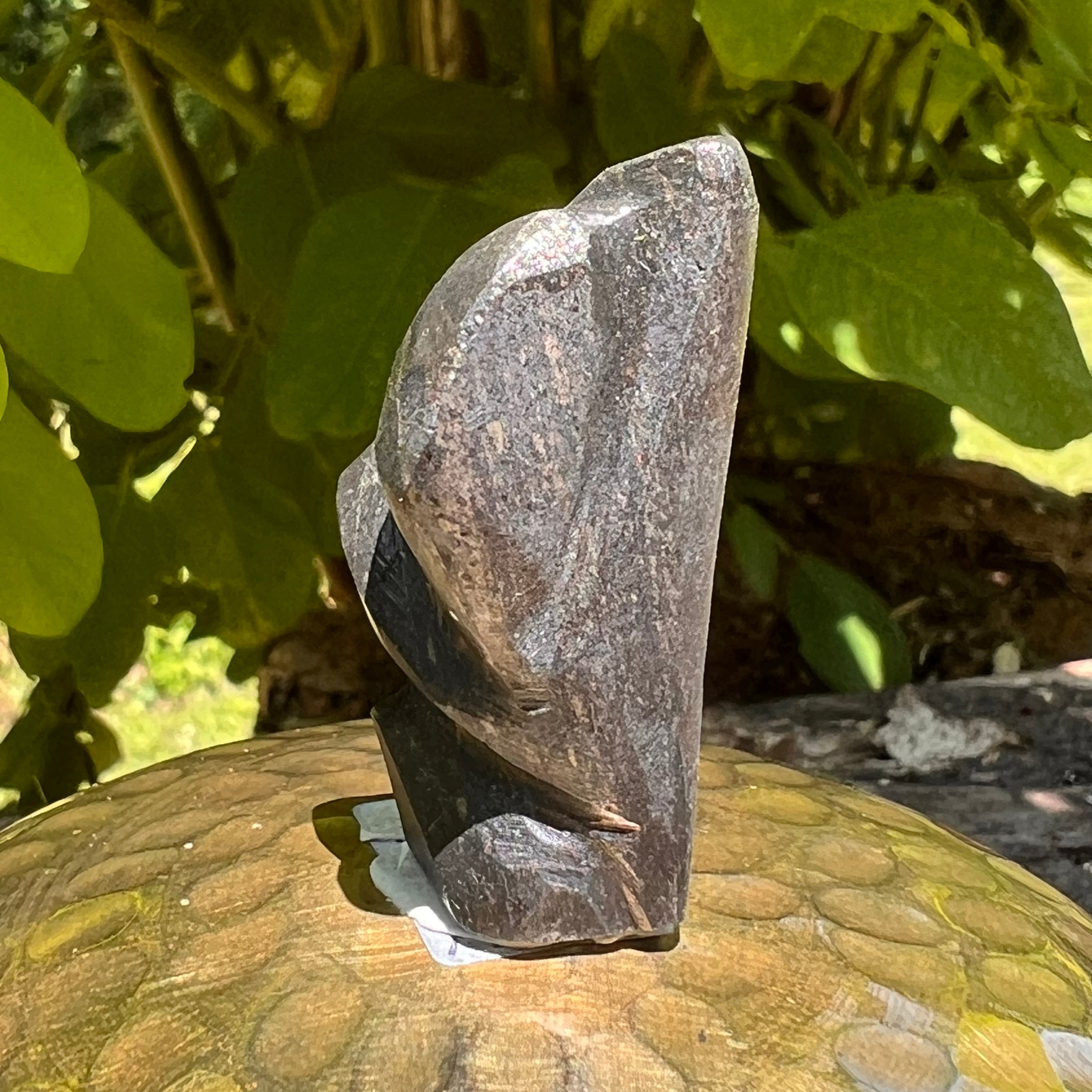 Alien Crystal Carving - Alienite® Star Being #52-Moldavite Life