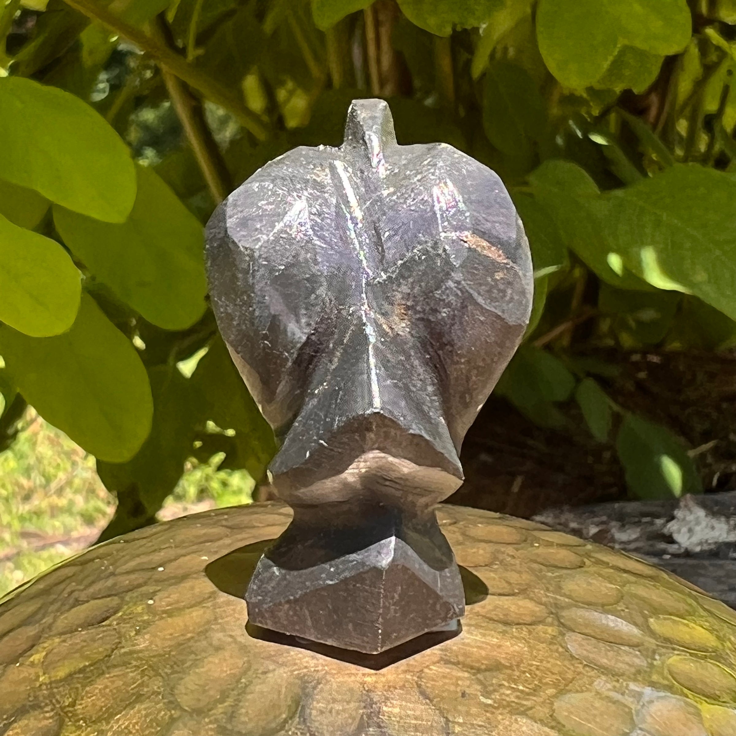 Alien Crystal Carving - Alienite® Star Being #52-Moldavite Life