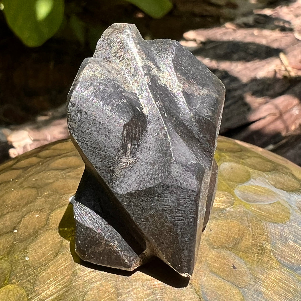 Alien Crystal Carving - Alienite® Star Being #53-Moldavite Life
