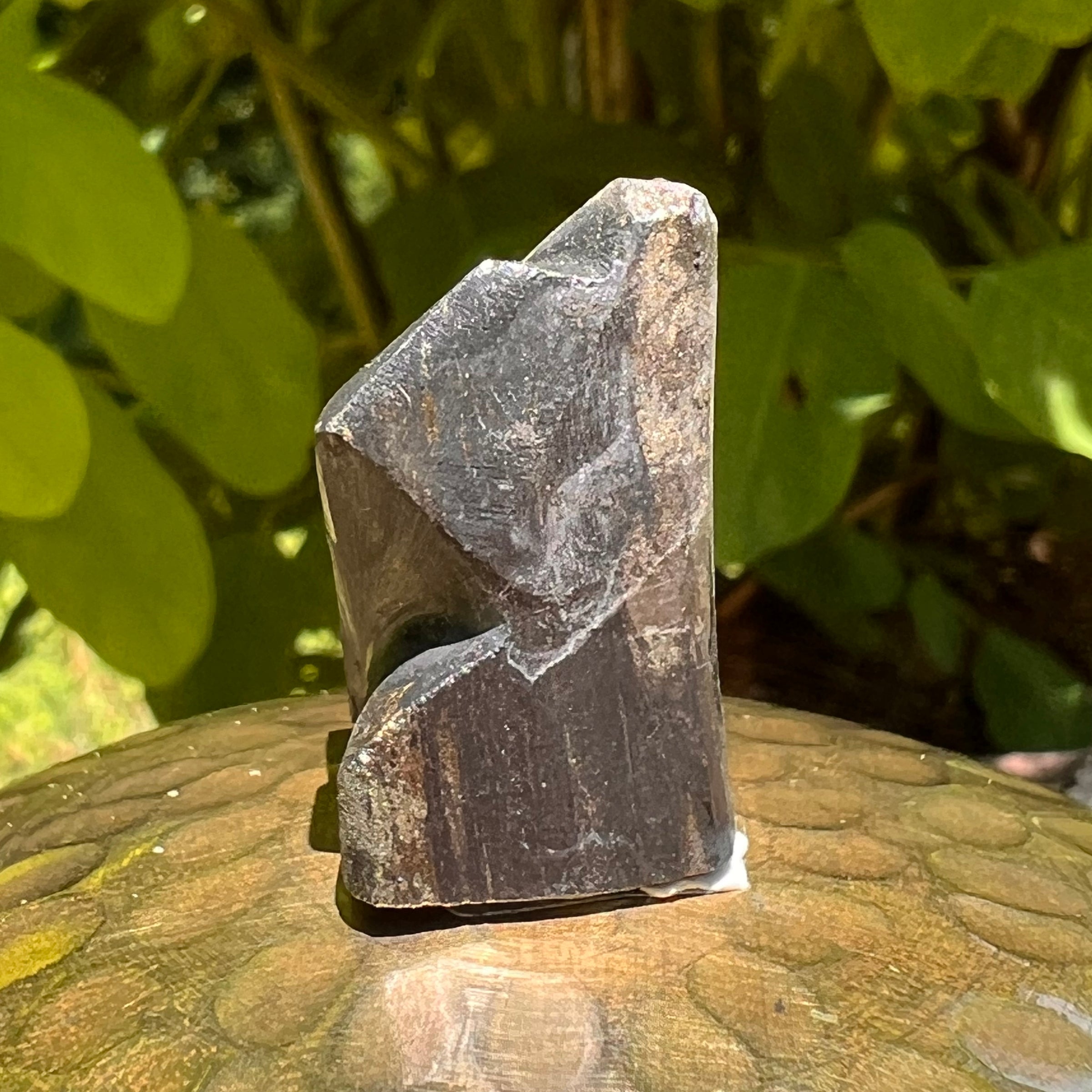 Alien Crystal Carving - Alienite® Star Being #53-Moldavite Life