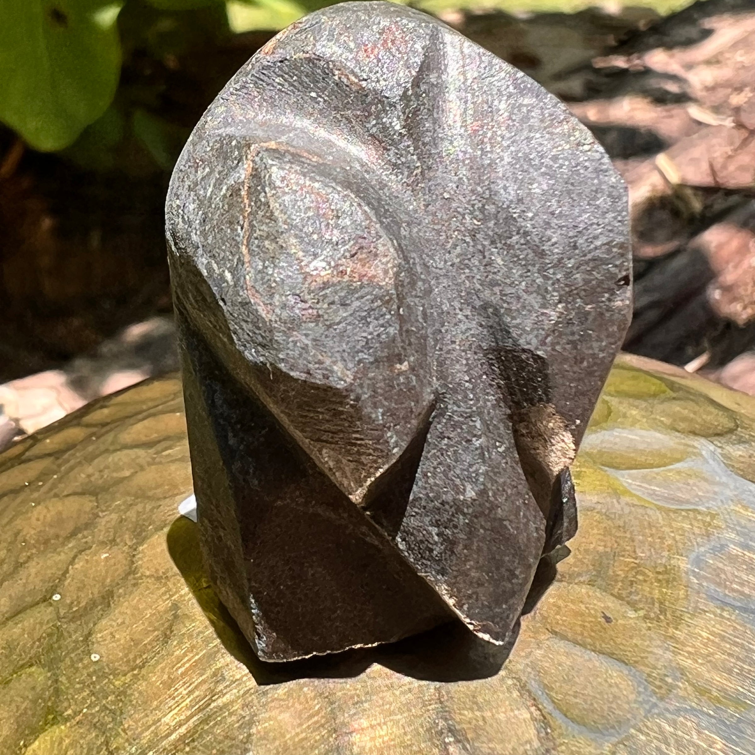 Alien Crystal Carving - Alienite® Star Being #54-Moldavite Life