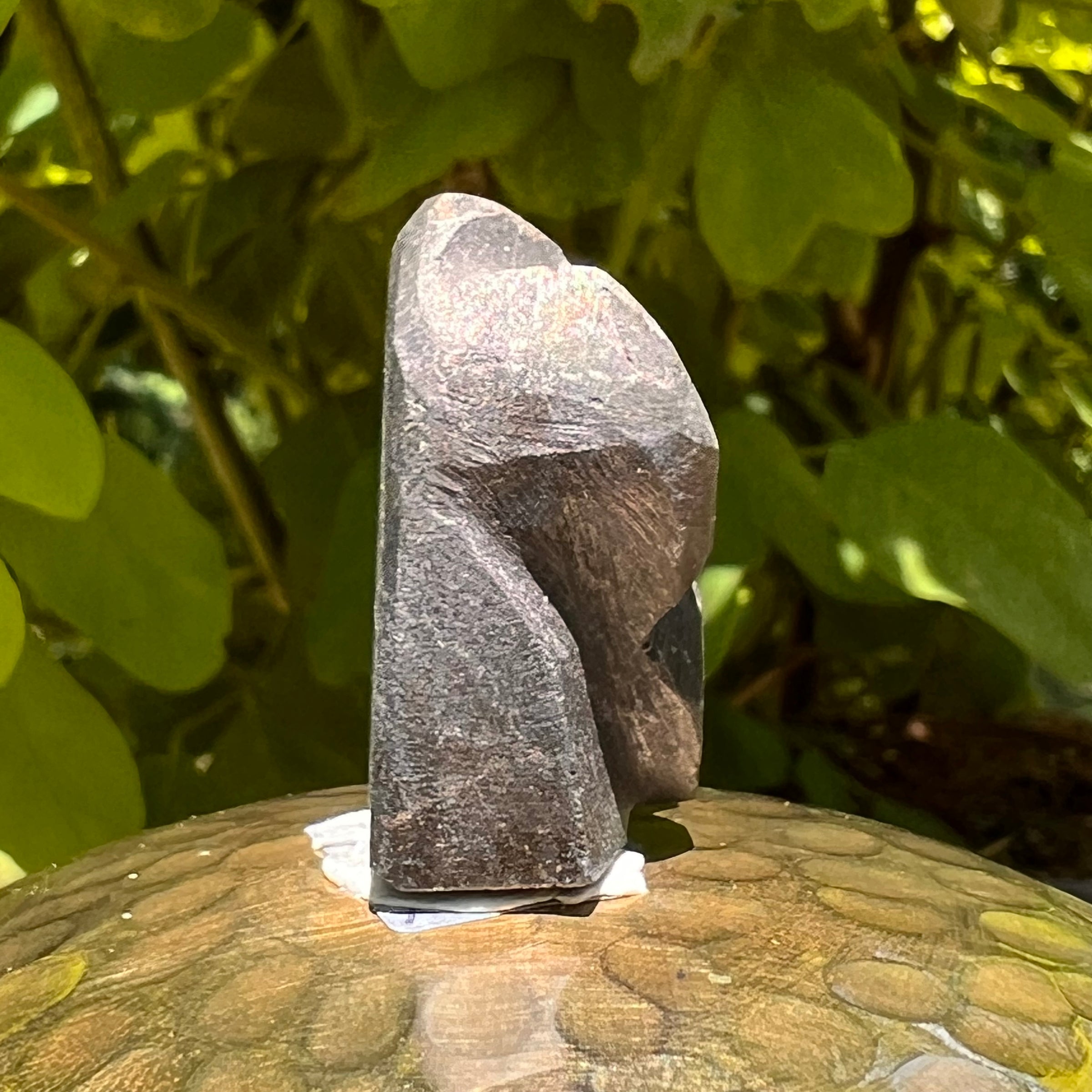 Alien Crystal Carving - Alienite® Star Being #54-Moldavite Life