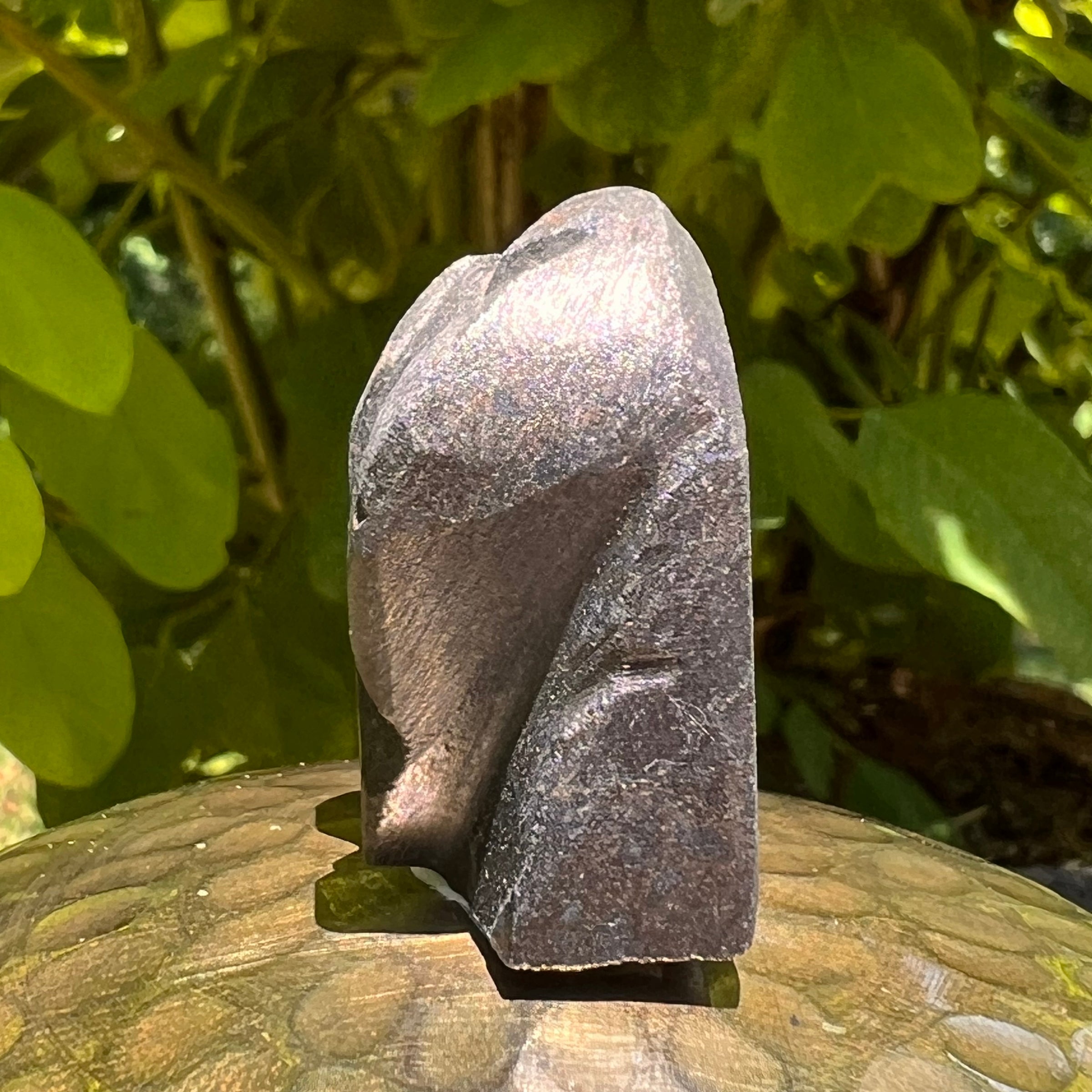 Alien Crystal Carving - Alienite® Star Being #54-Moldavite Life