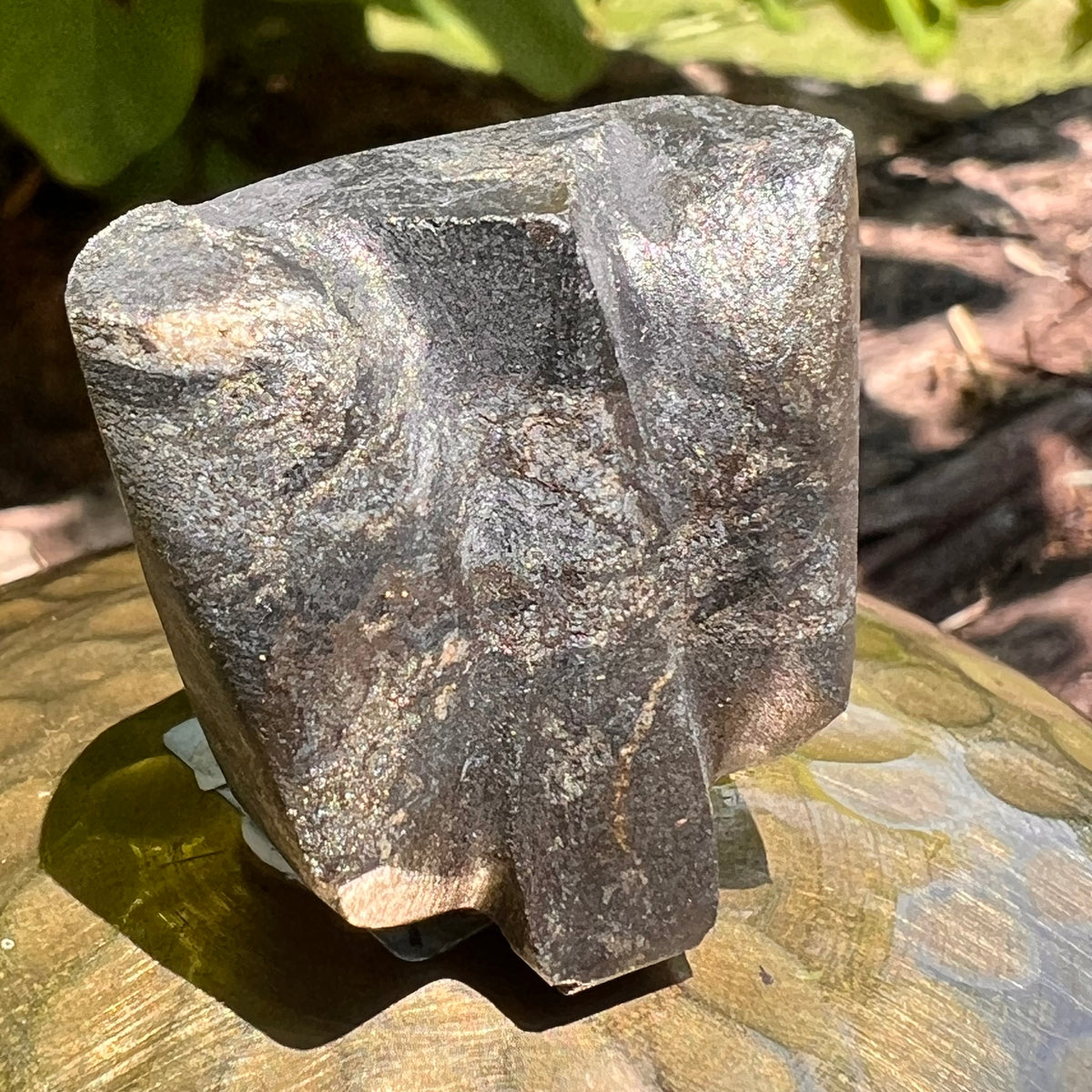 Alien Crystal Carving - Alienite® Star Being #56-Moldavite Life