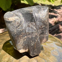 Alien Crystal Carving - Alienite® Star Being #56-Moldavite Life