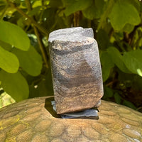 Alien Crystal Carving - Alienite® Star Being #56-Moldavite Life