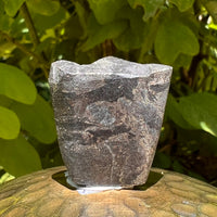 Alien Crystal Carving - Alienite® Star Being #56-Moldavite Life
