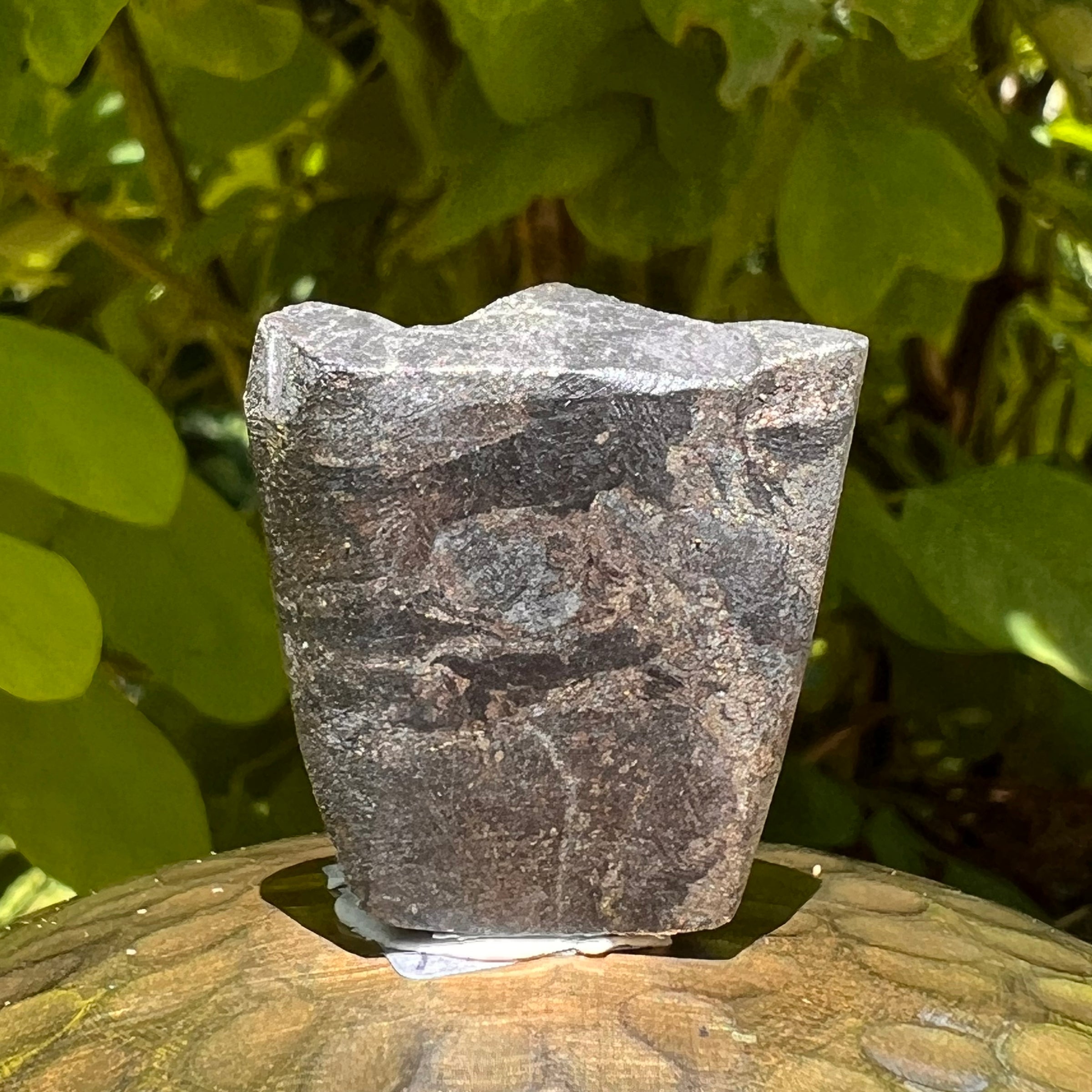 Alien Crystal Carving - Alienite® Star Being #56-Moldavite Life