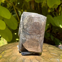 Alien Crystal Carving - Alienite® Star Being #56-Moldavite Life