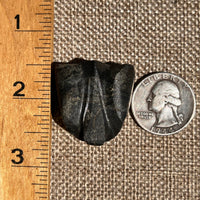 Alien Crystal Carving - Alienite® Star Being #56-Moldavite Life