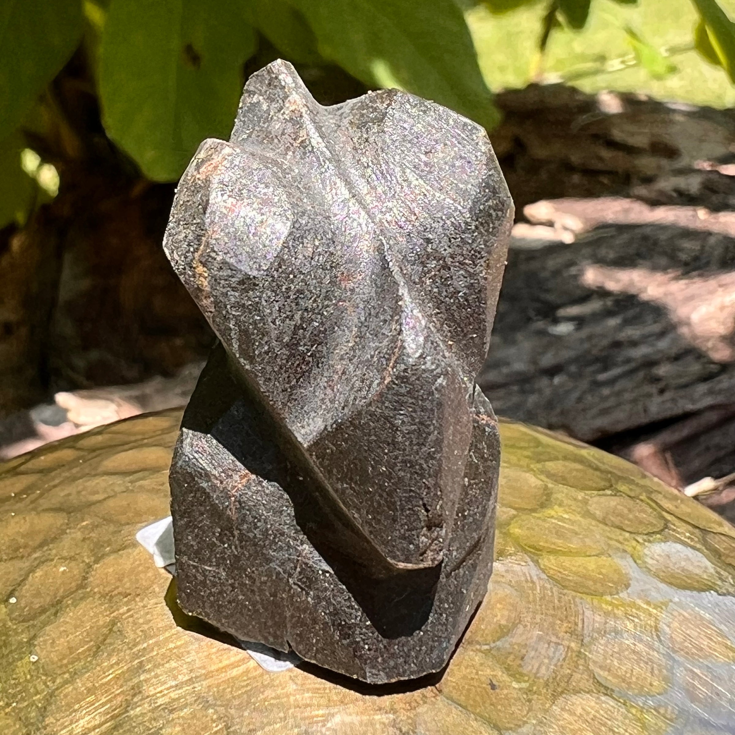 Alien Crystal Carving - Alienite® Star Being #57-Moldavite Life