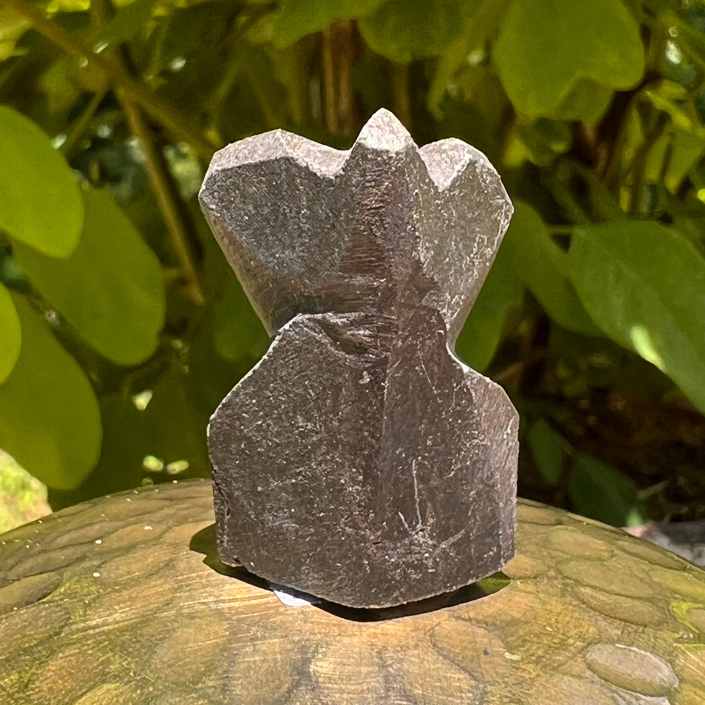 Alien Crystal Carving - Alienite® Star Being #57-Moldavite Life