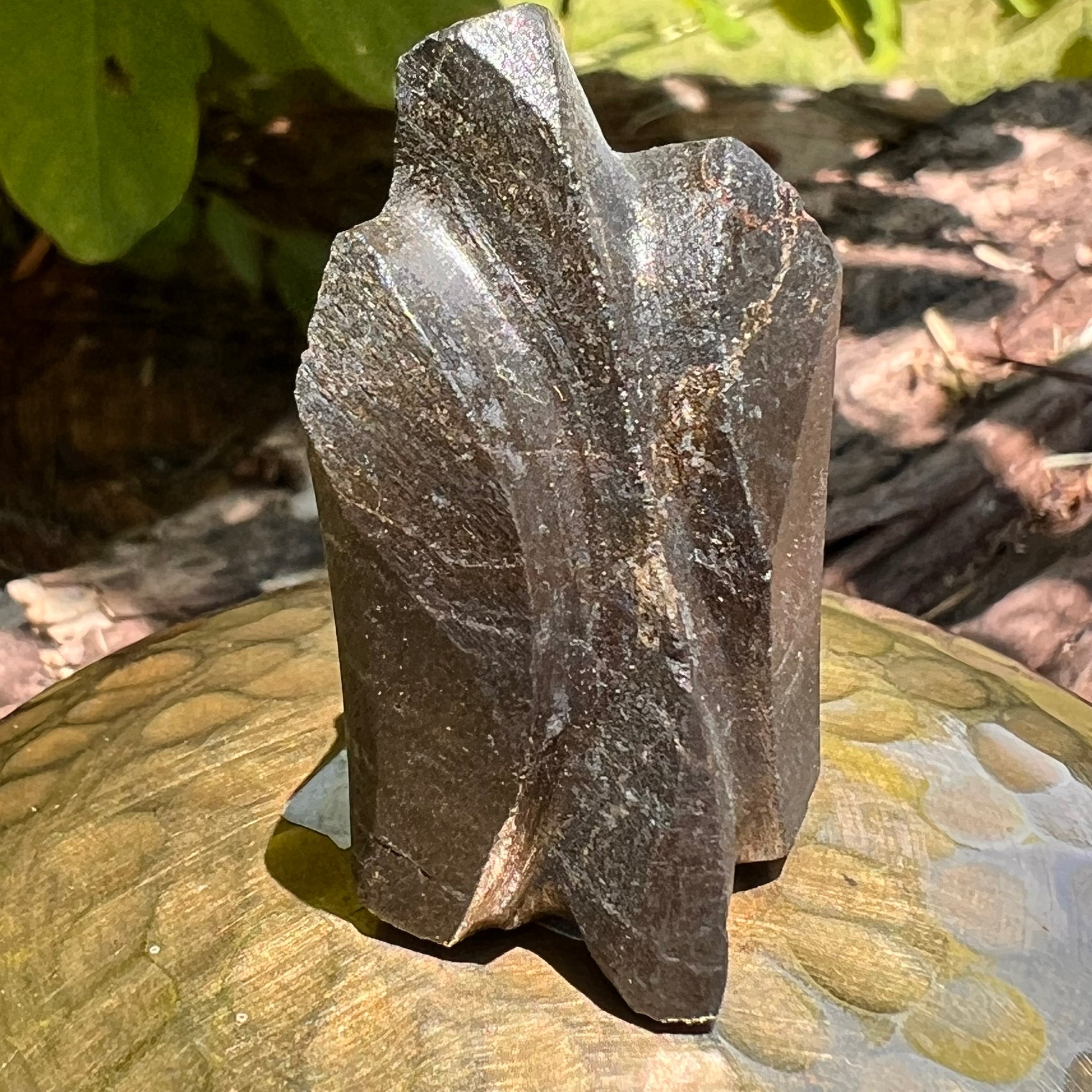 Alien Crystal Carving - Alienite® Star Being #58-Moldavite Life