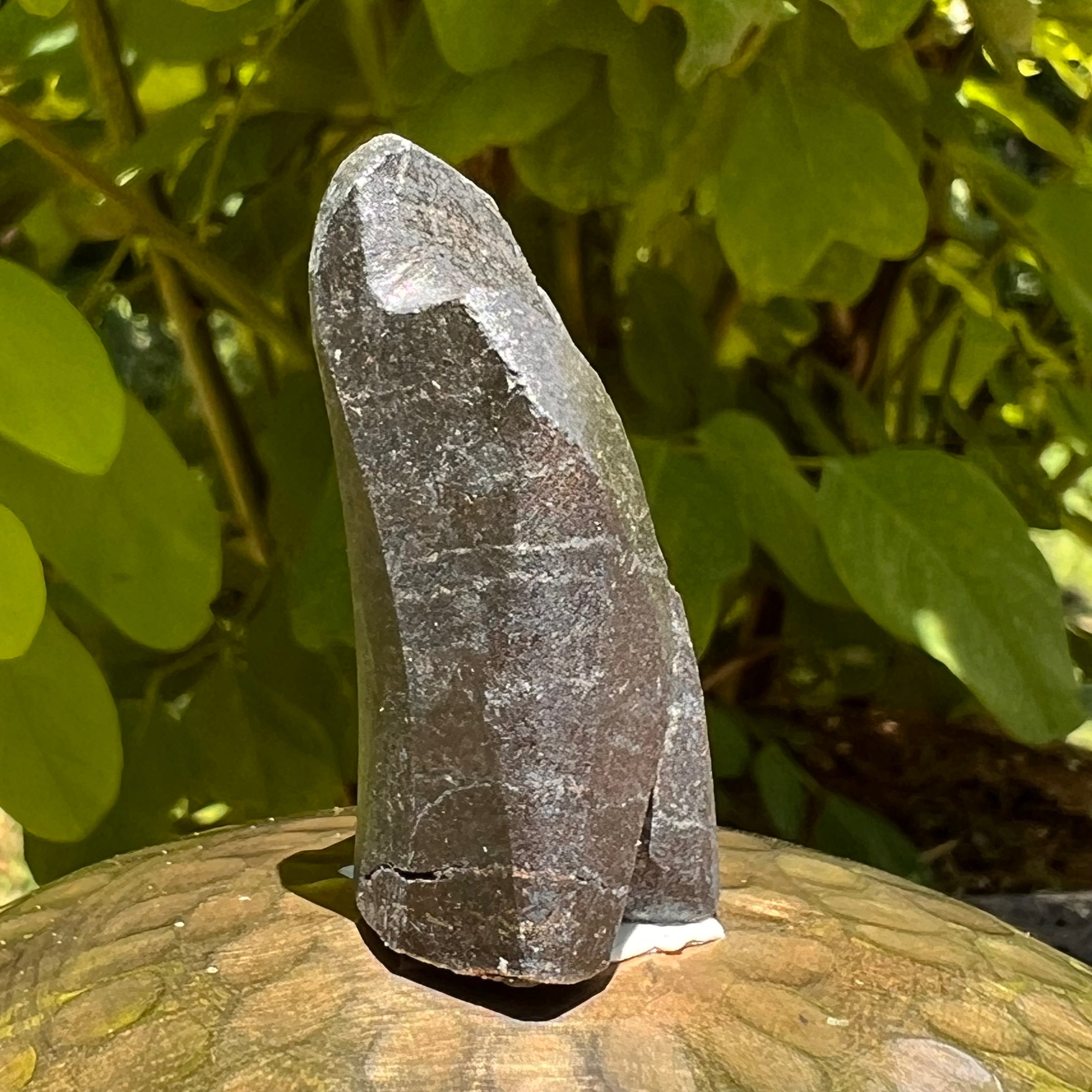 Alien Crystal Carving - Alienite® Star Being #58-Moldavite Life