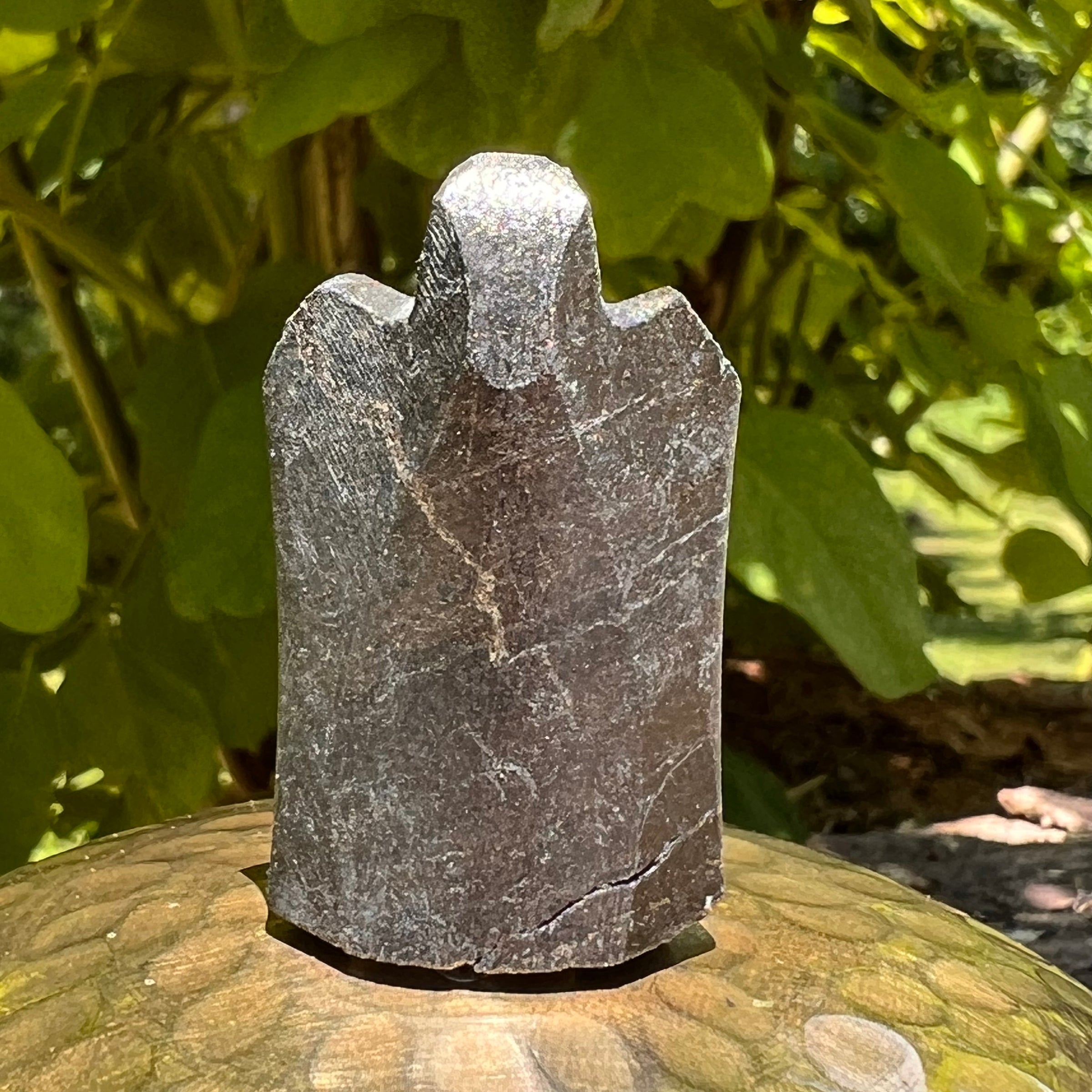 Alien Crystal Carving - Alienite® Star Being #58-Moldavite Life