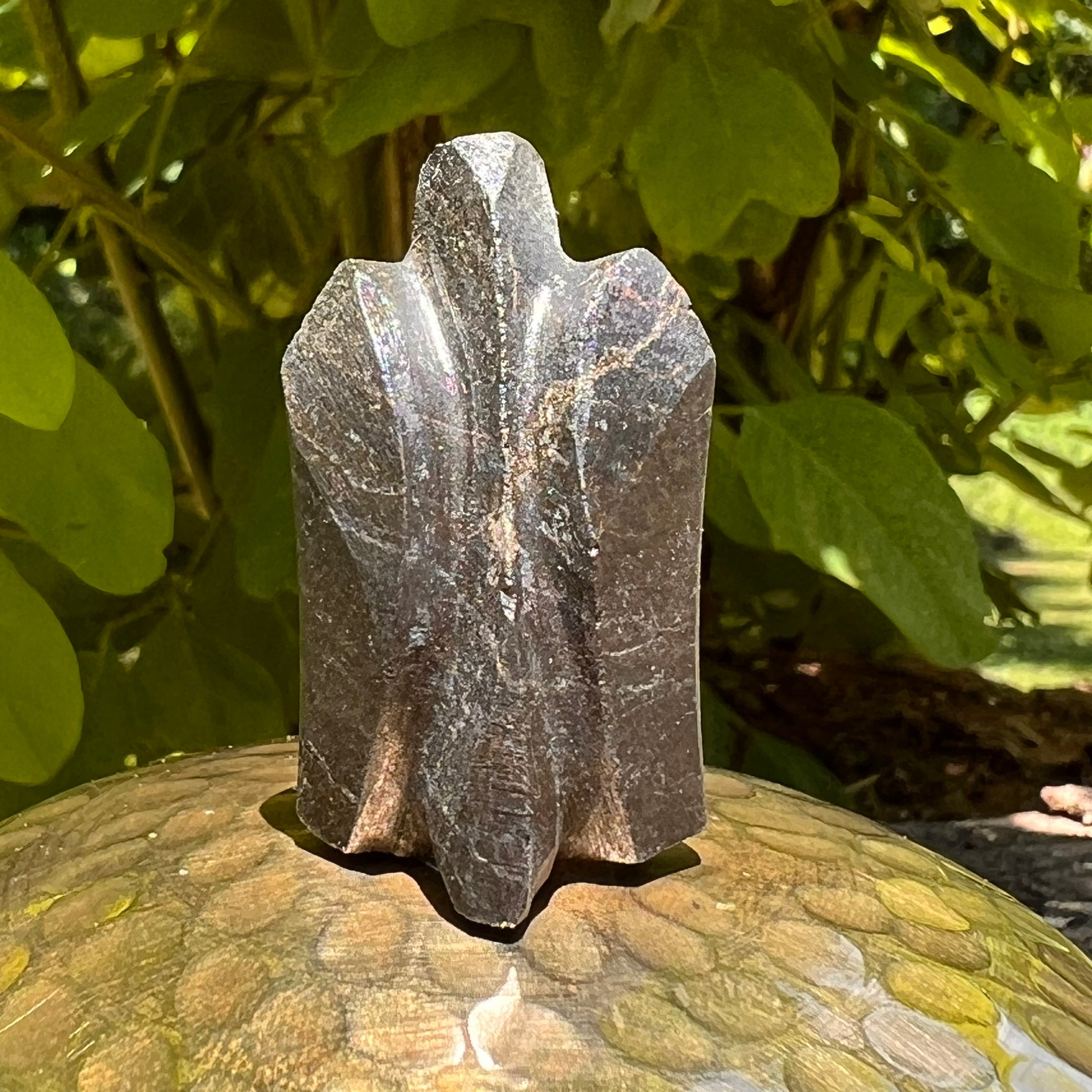 Alien Crystal Carving - Alienite® Star Being #58-Moldavite Life