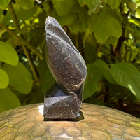 Alien Crystal Carving - Alienite® Star Being #59-Moldavite Life