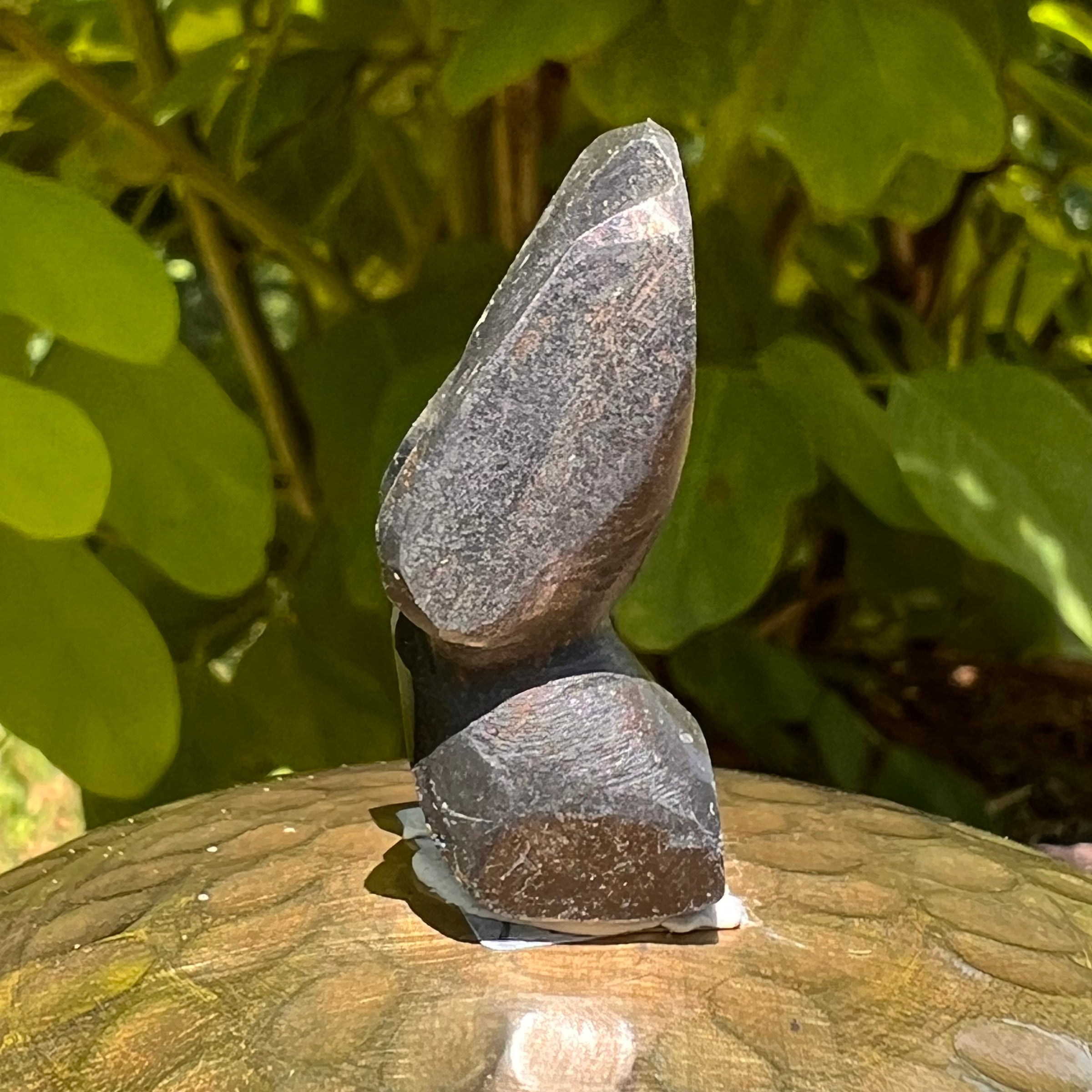 Alien Crystal Carving - Alienite® Star Being #59-Moldavite Life