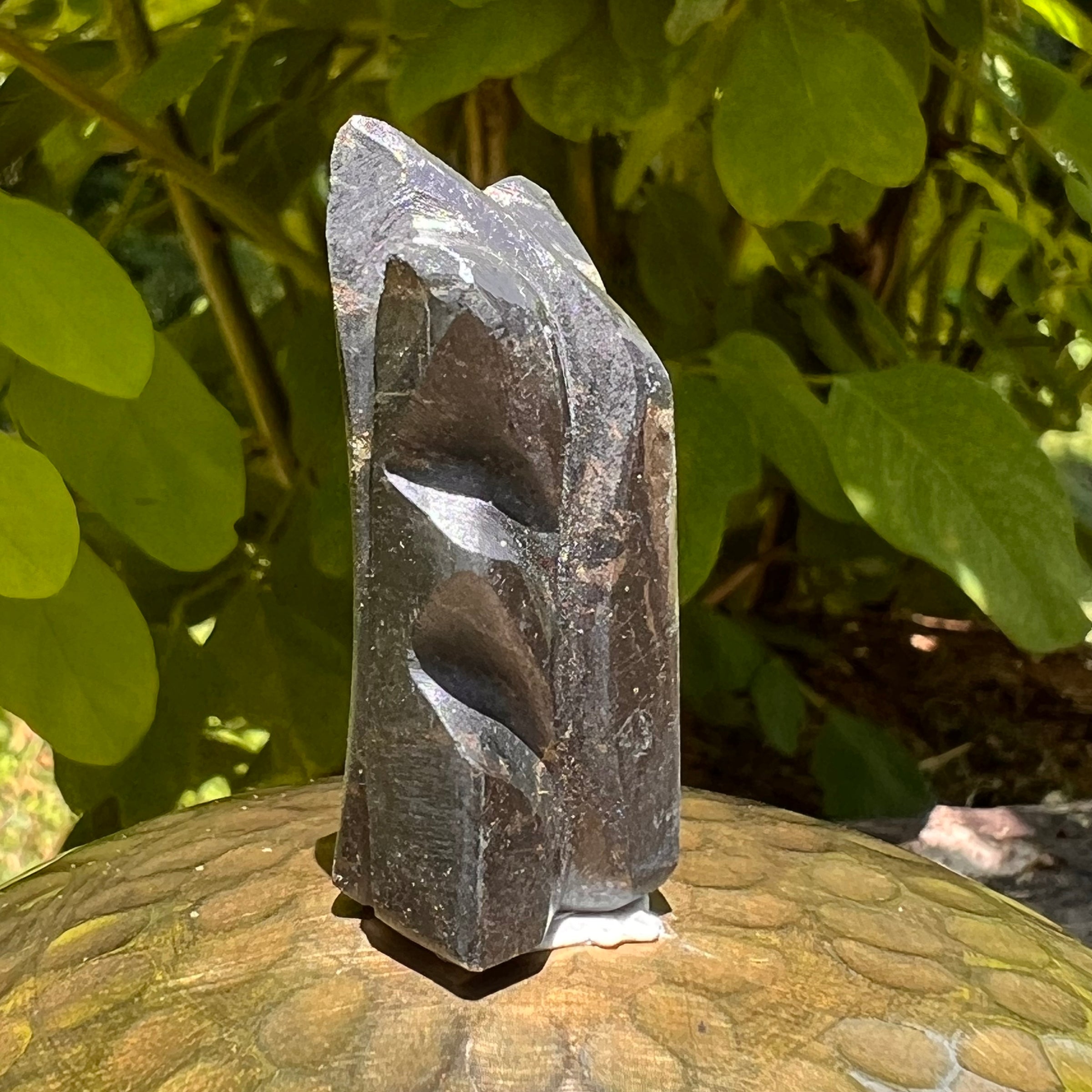Alien Crystal Carving - Alienite® Star Being #61-Moldavite Life
