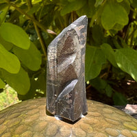 Alien Crystal Carving - Alienite® Star Being #61-Moldavite Life