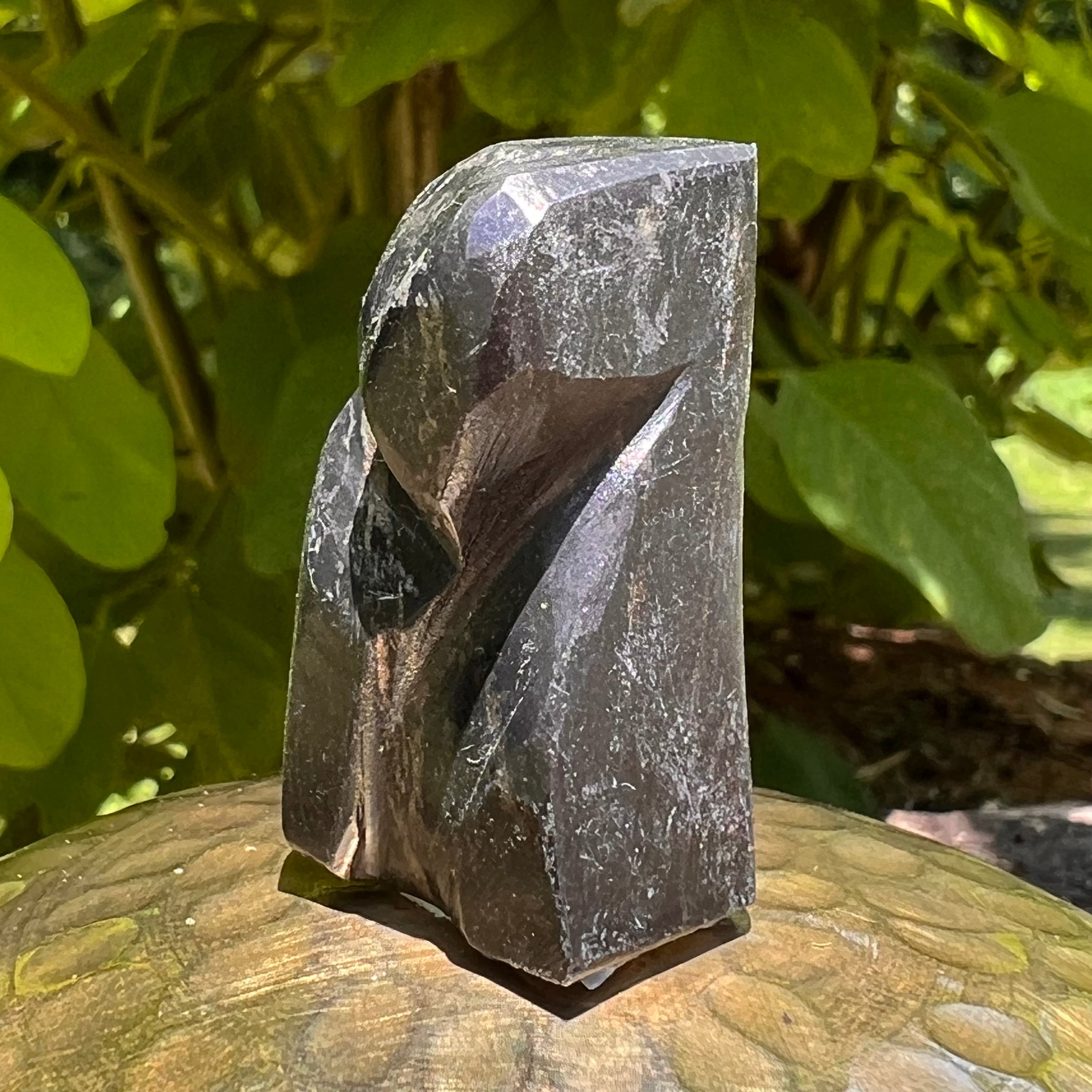 Alien Crystal Carving - Alienite® Star Being #62-Moldavite Life