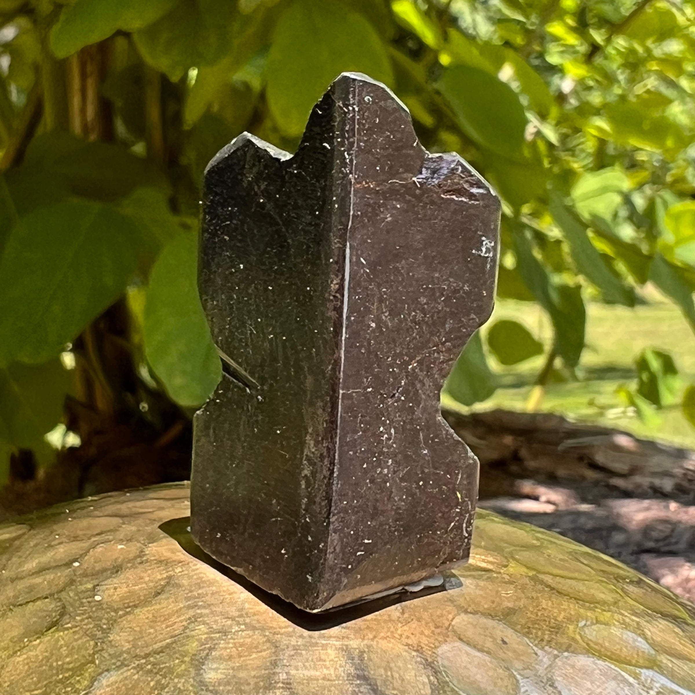 Alien Crystal Carving - Alienite® Star Being #63-Moldavite Life