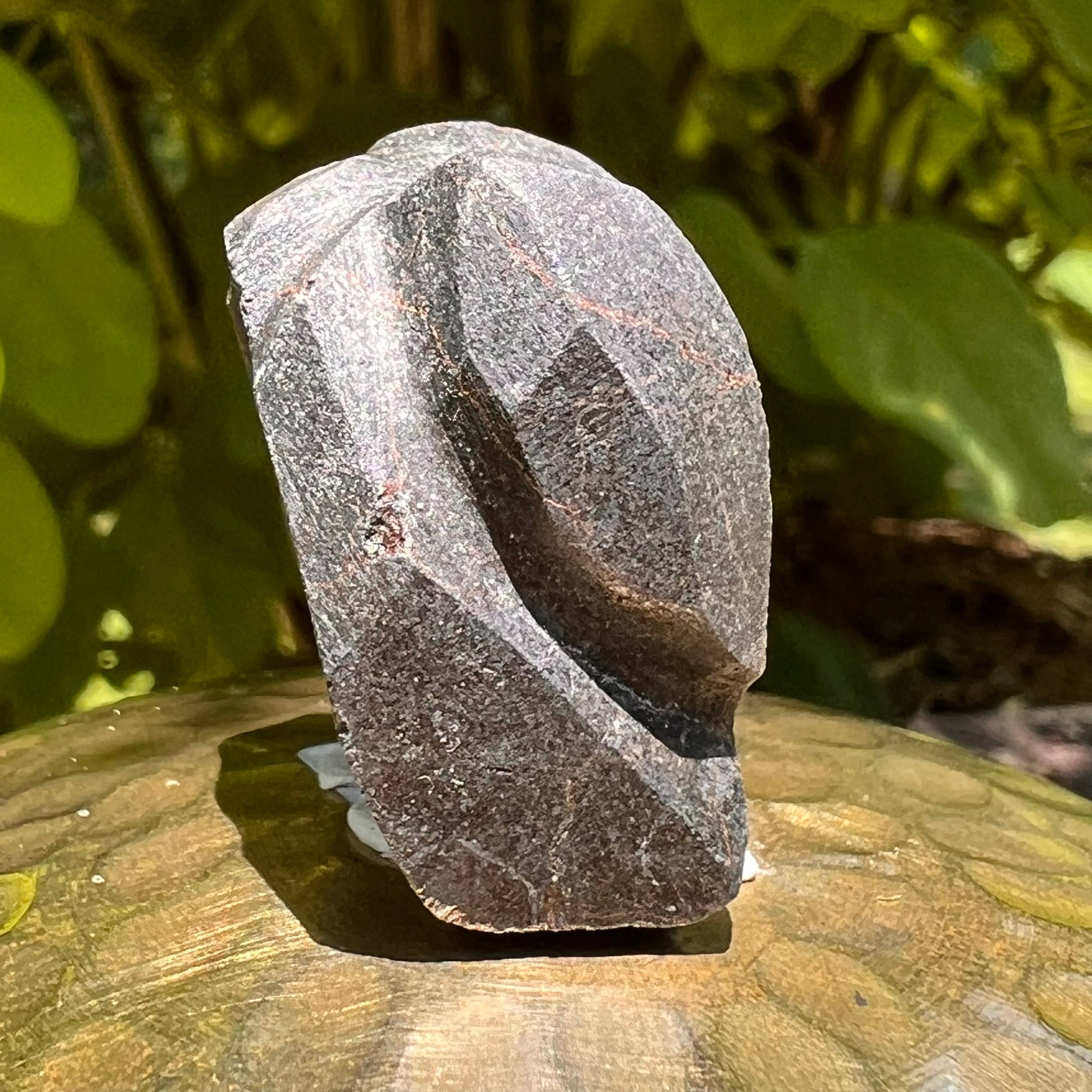 Alien Crystal Carving - Alienite® Star Being #64-Moldavite Life