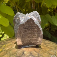 Alien Crystal Carving - Alienite® Star Being #64-Moldavite Life