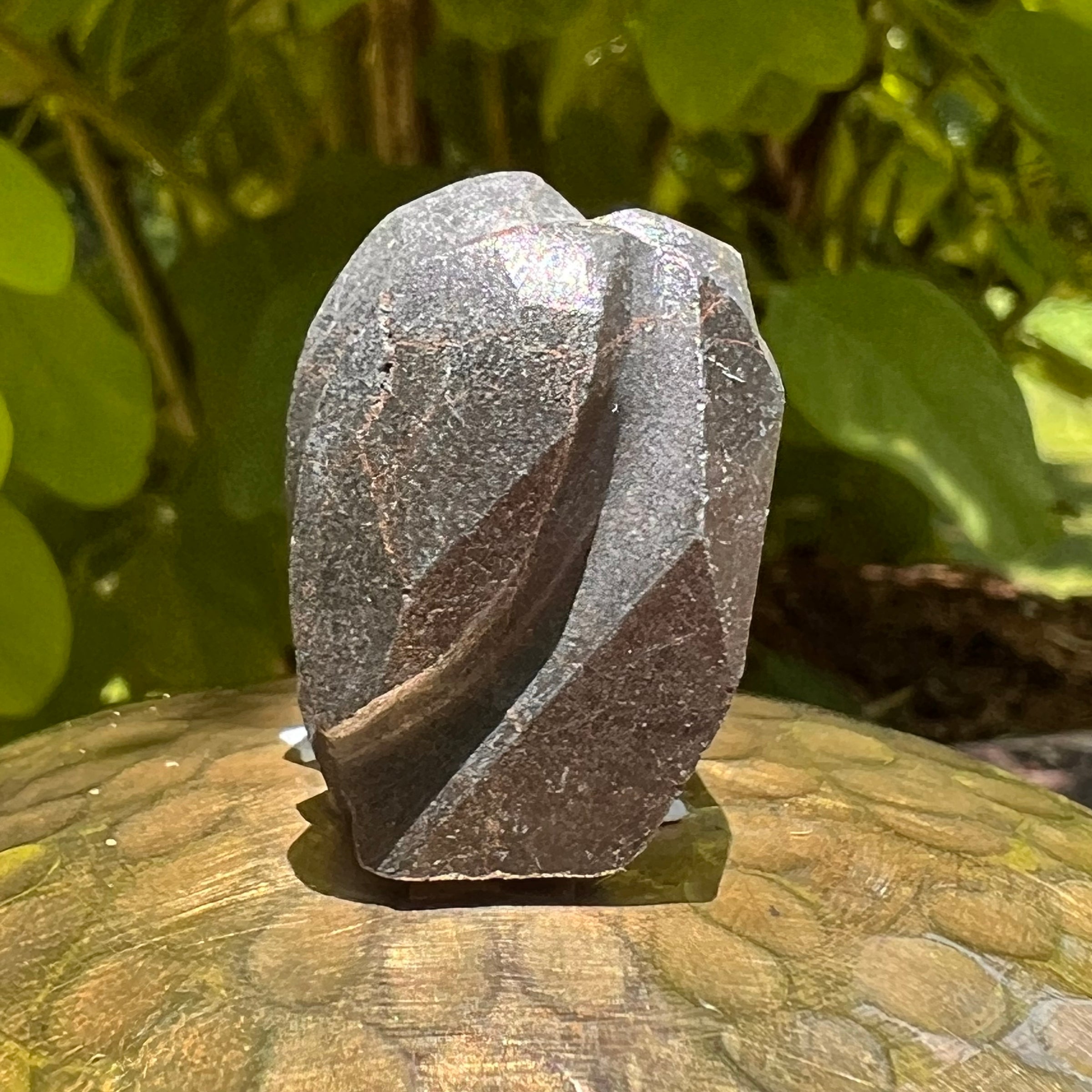Alien Crystal Carving - Alienite® Star Being #64-Moldavite Life