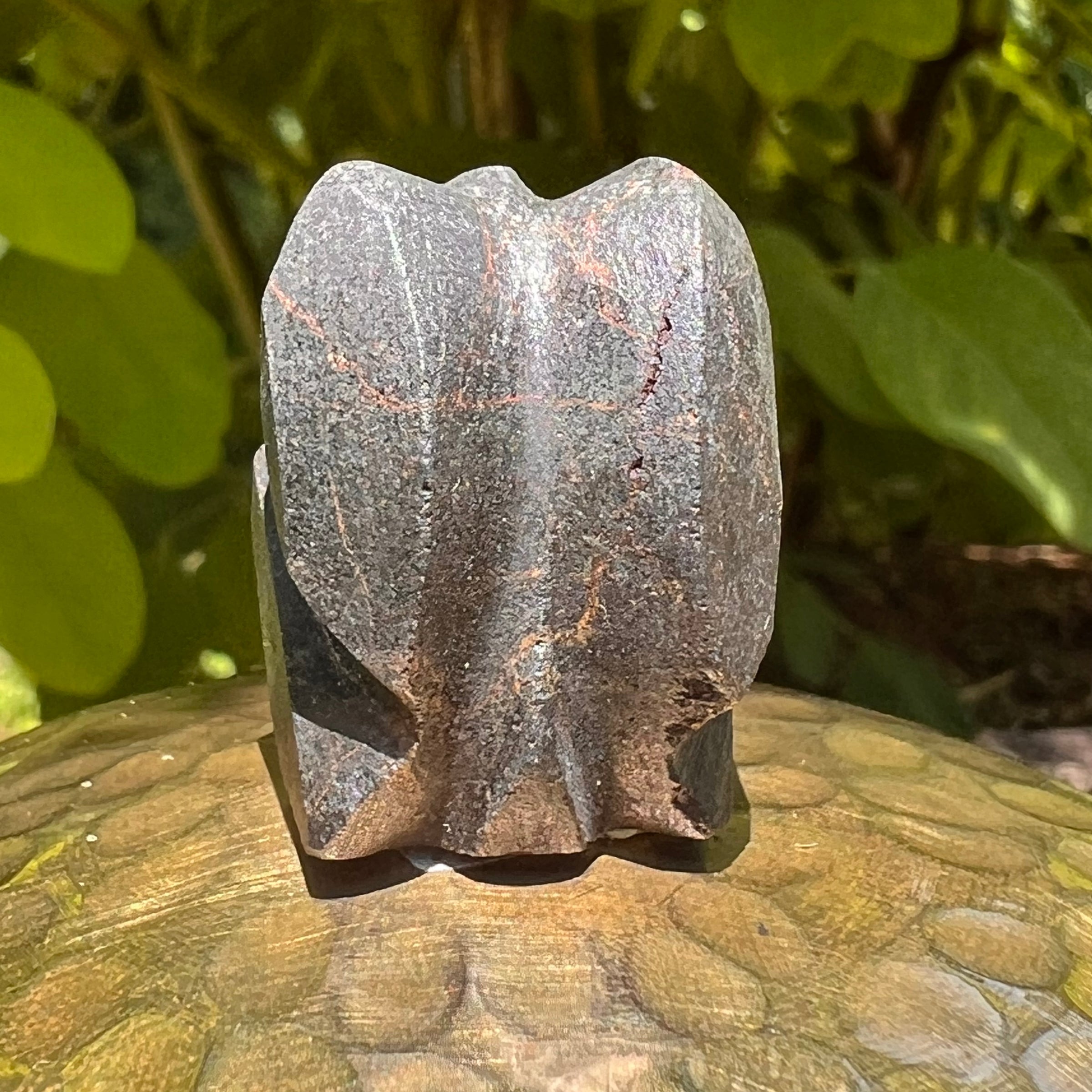 Alien Crystal Carving - Alienite® Star Being #64-Moldavite Life