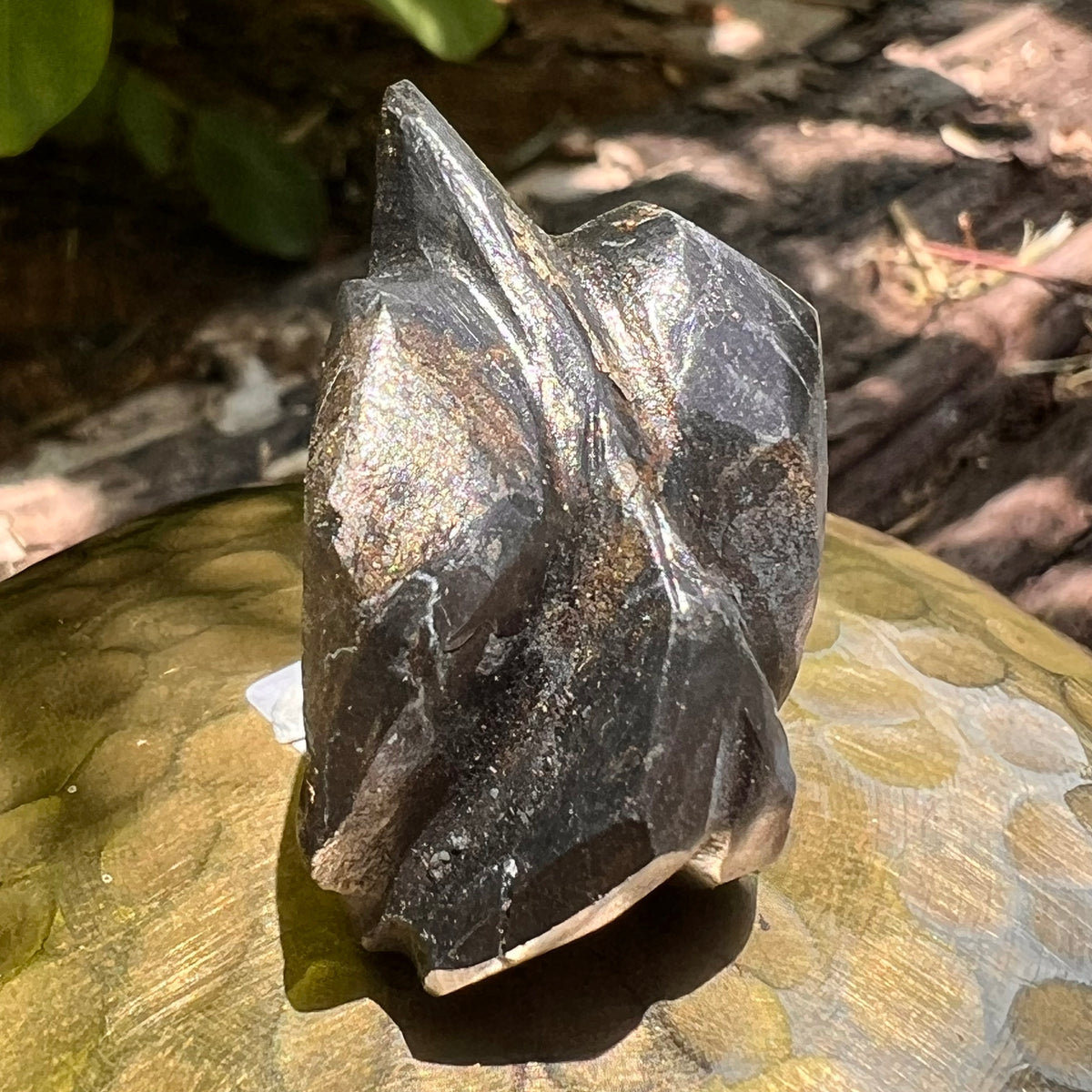Alien Crystal Carving - Alienite® Star Being #65-Moldavite Life