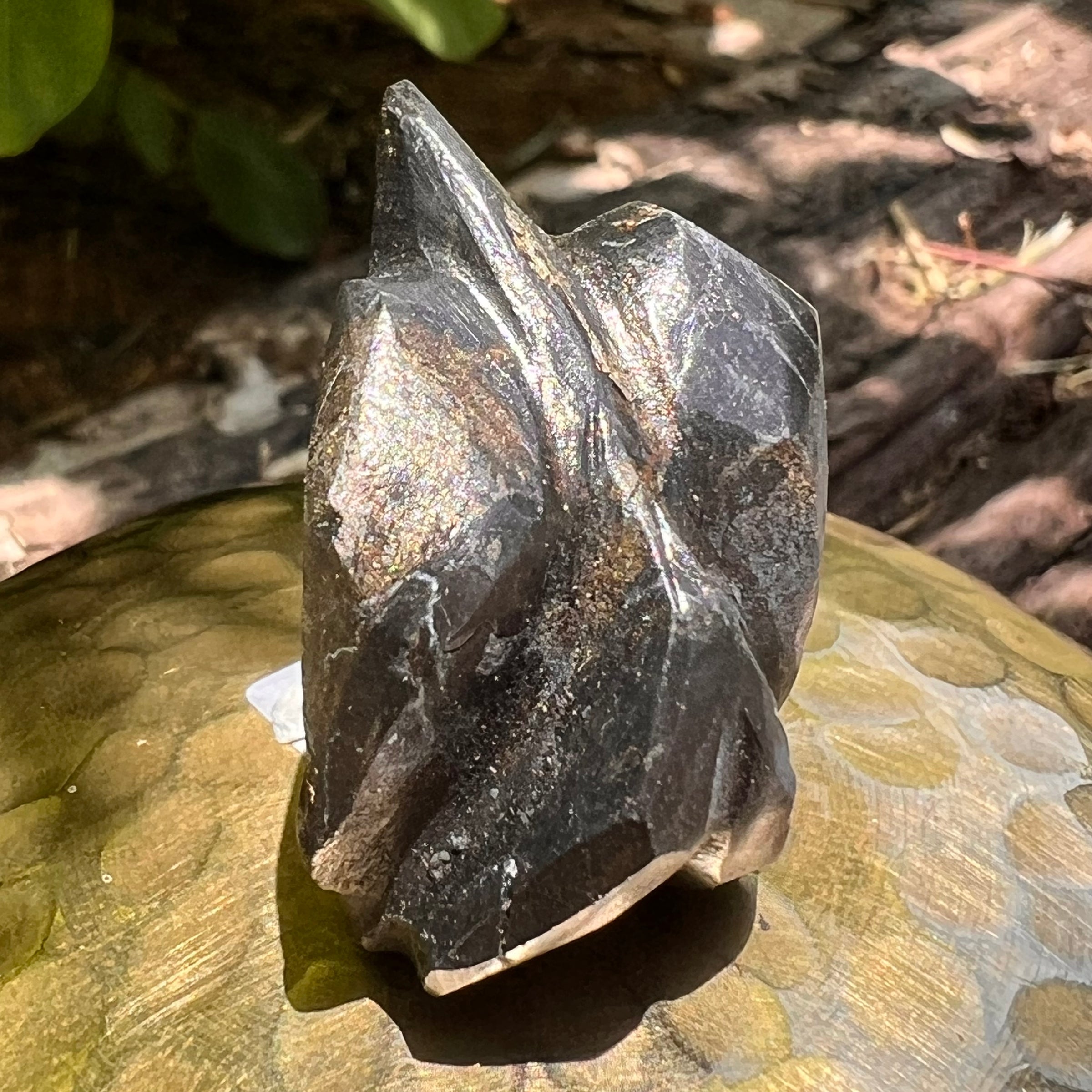 Alien Crystal Carving - Alienite® Star Being #65-Moldavite Life