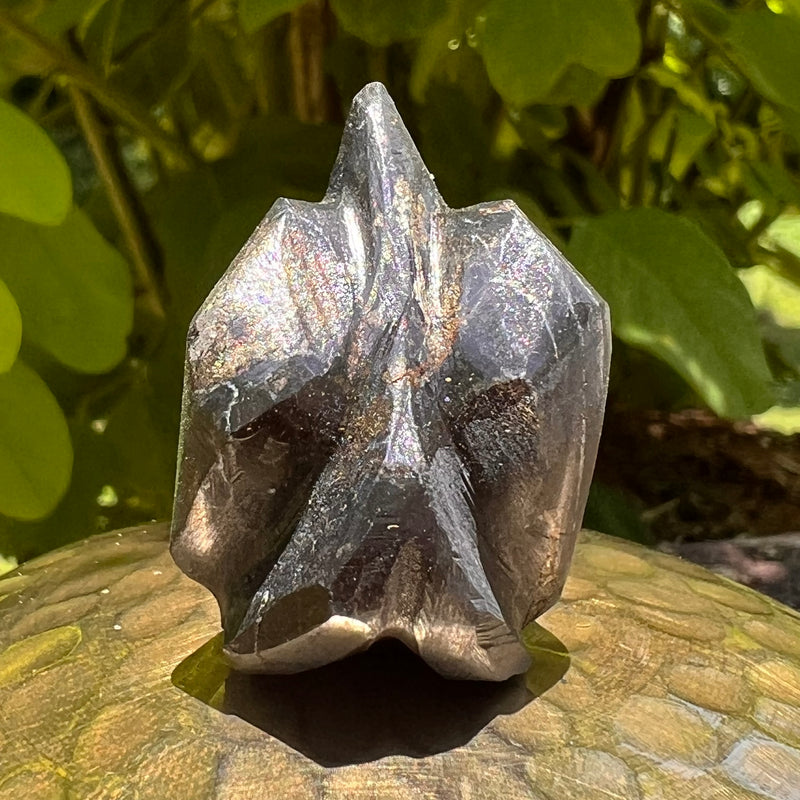 Alien Crystal Carving - Alienite® Star Being #65-Moldavite Life