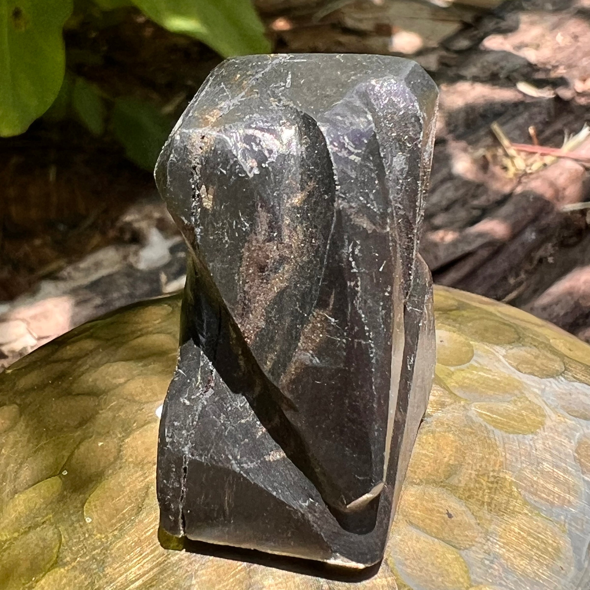 Alien Crystal Carving - Alienite® Star Being #66-Moldavite Life