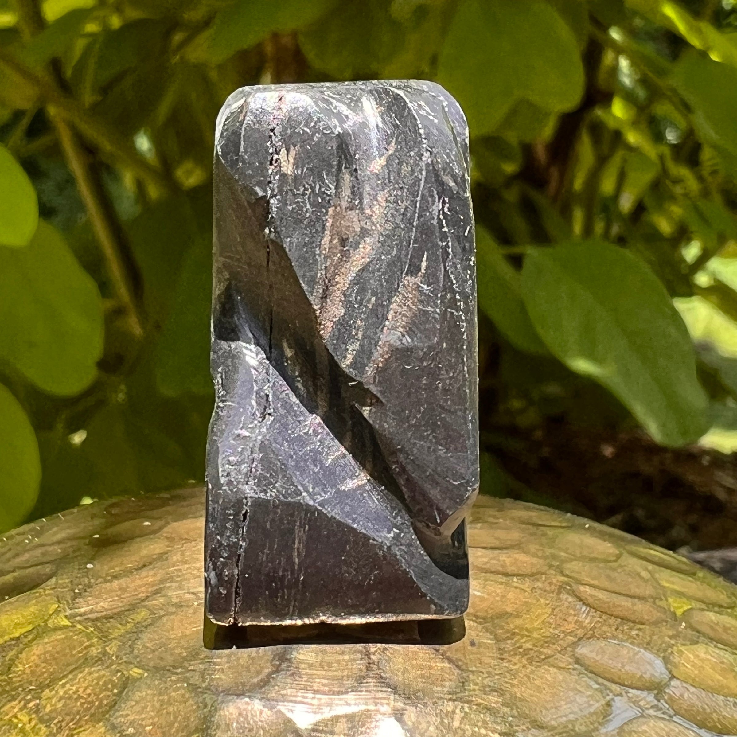 Alien Crystal Carving - Alienite® Star Being #66-Moldavite Life
