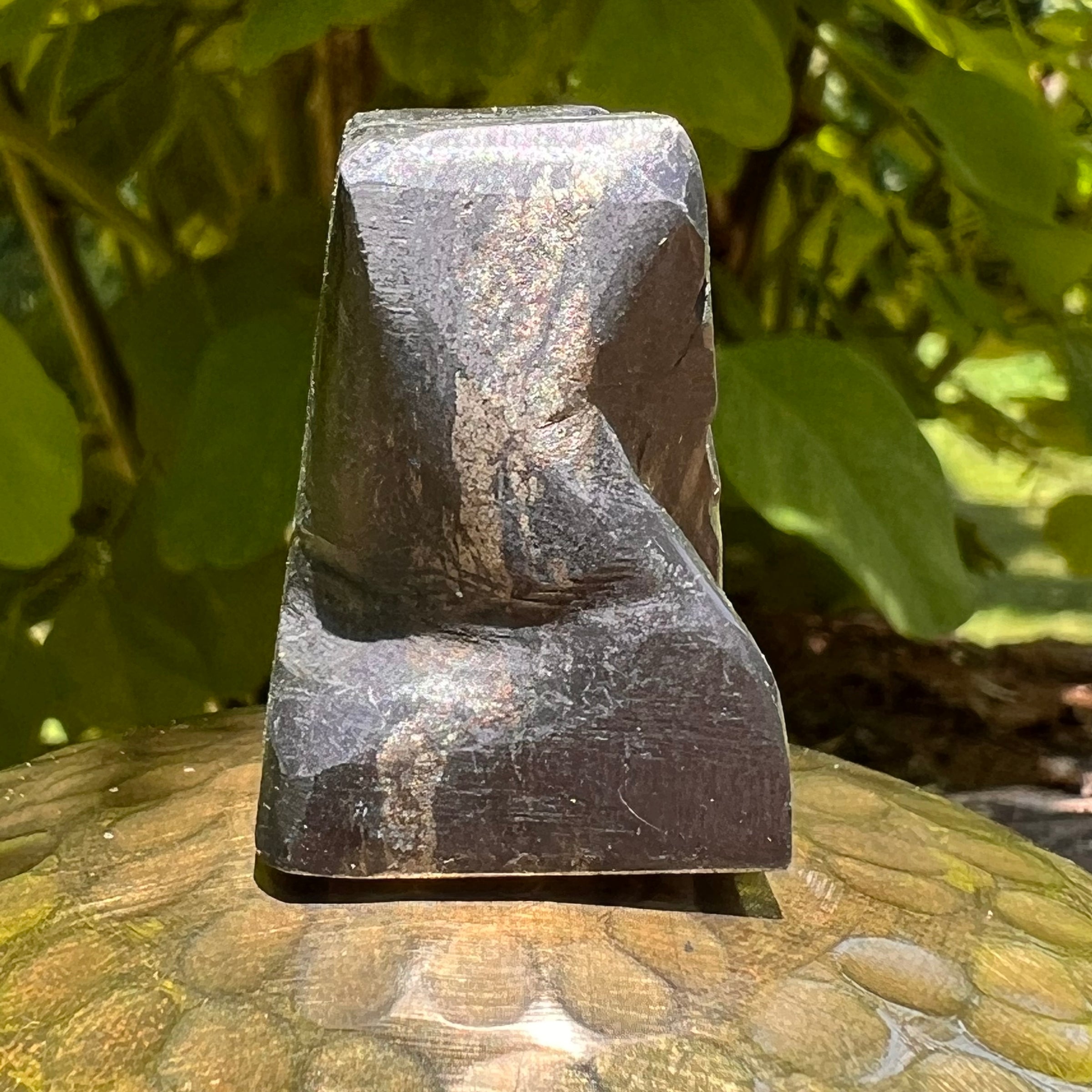 Alien Crystal Carving - Alienite® Star Being #66-Moldavite Life