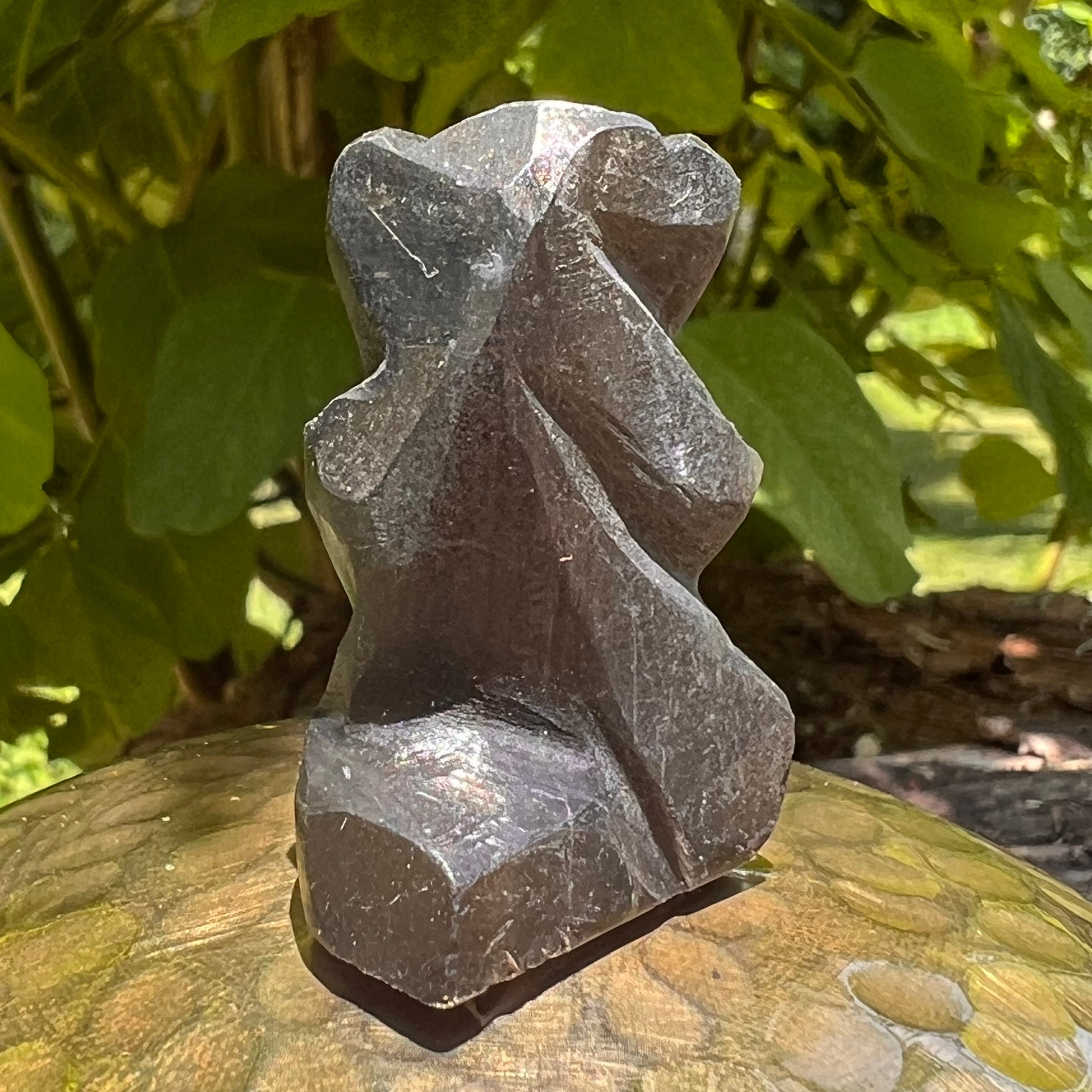 Alien Crystal Carving - Alienite® Star Being #67-Moldavite Life