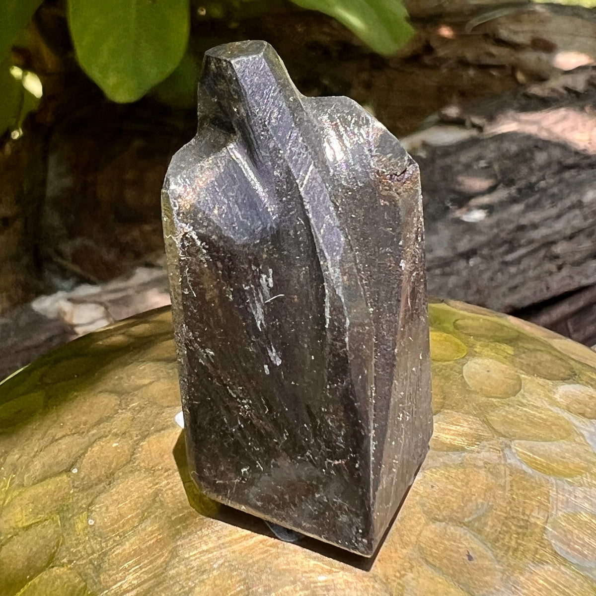 Alien Crystal Carving - Alienite® Star Being #68-Moldavite Life