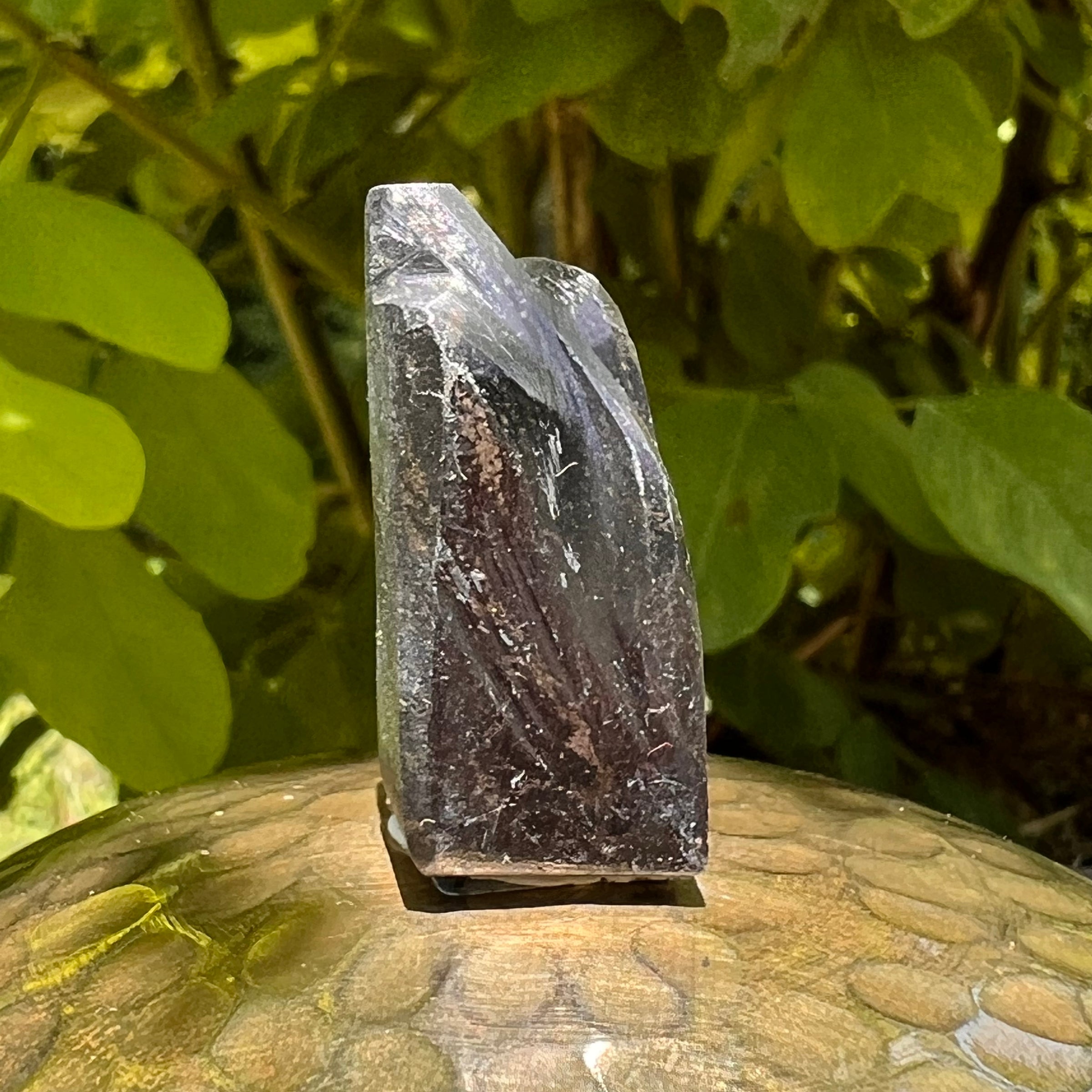 Alien Crystal Carving - Alienite® Star Being #68-Moldavite Life