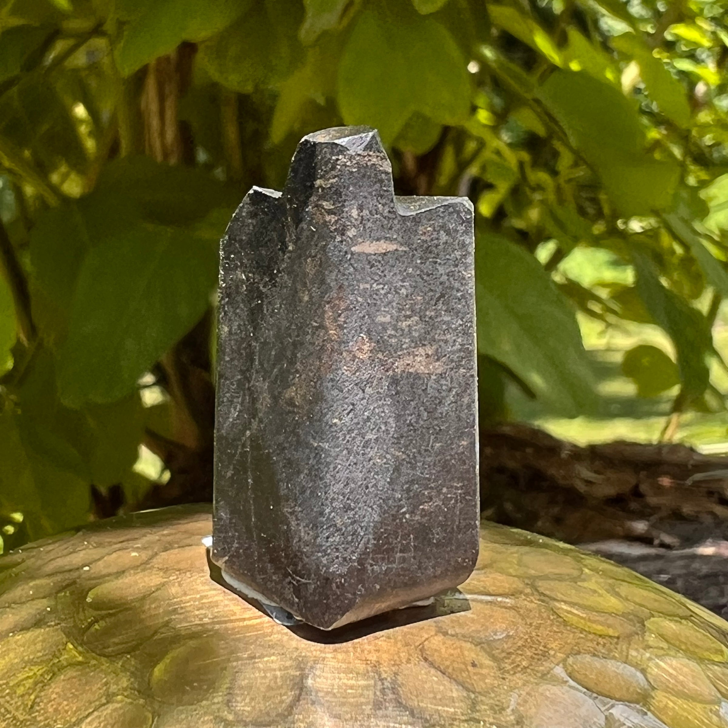 Alien Crystal Carving - Alienite® Star Being #68-Moldavite Life