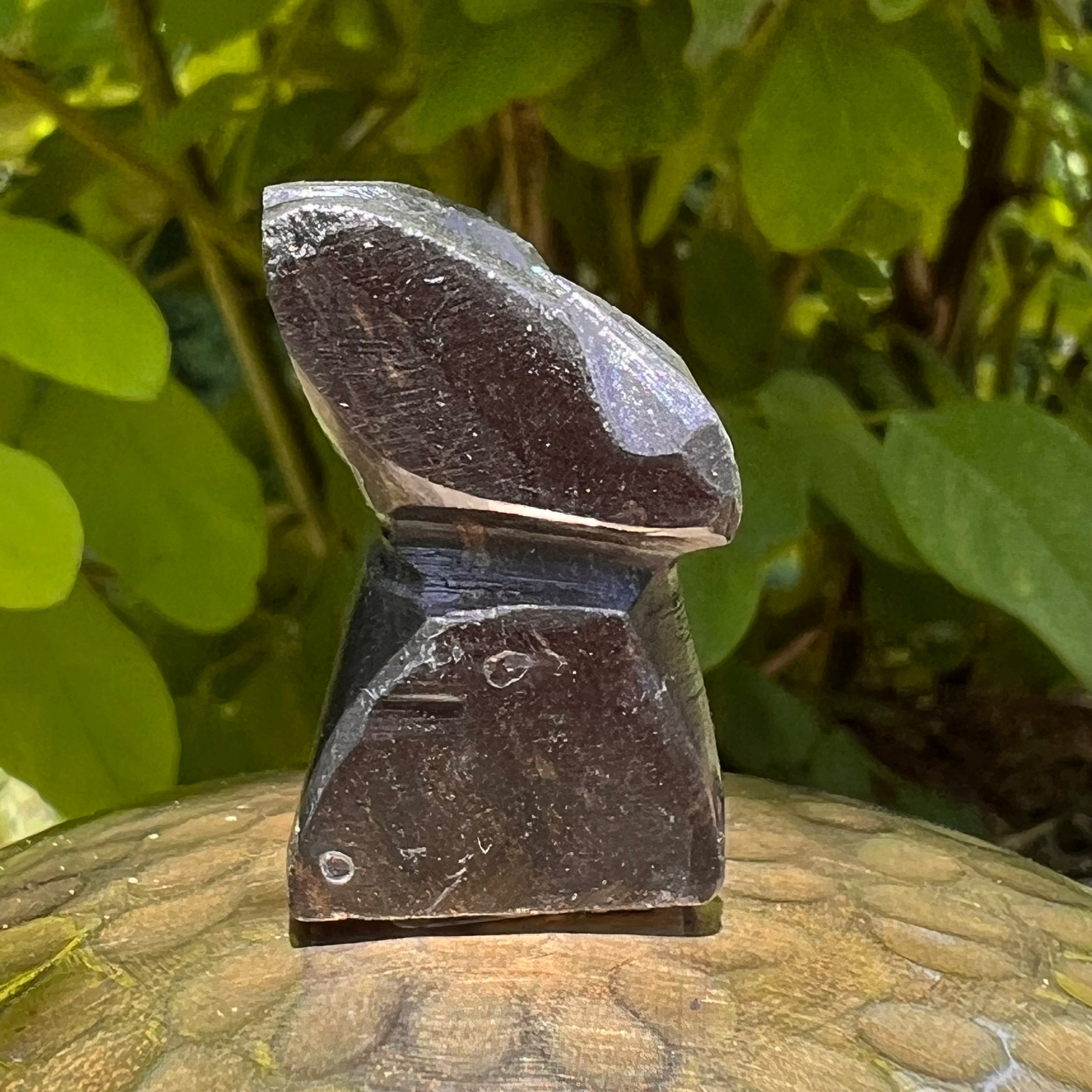 Alien Crystal Carving - Alienite® Star Being #69-Moldavite Life