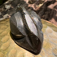 Alien Crystal Carving - Alienite® Star Being #70-Moldavite Life