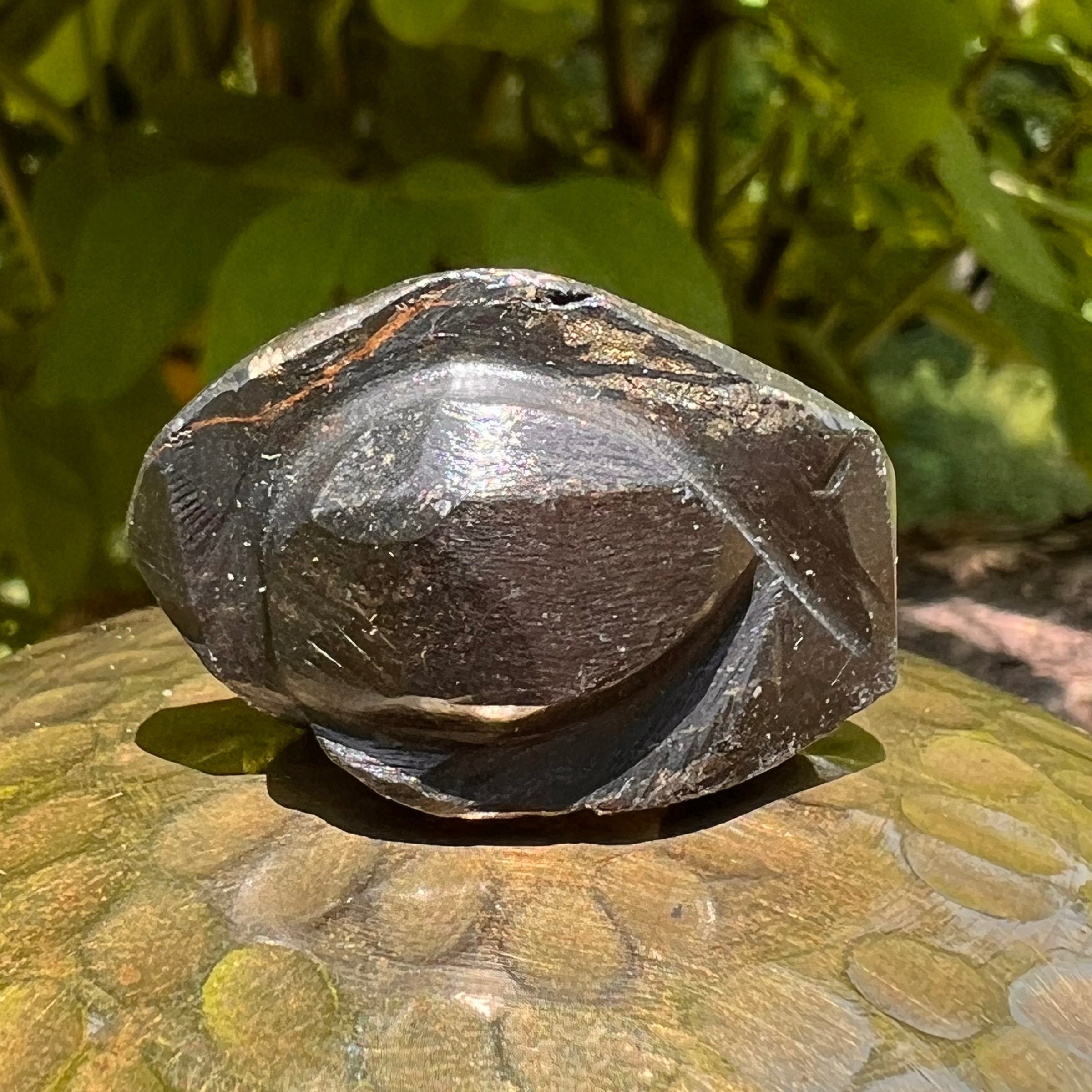 Alien Crystal Carving - Alienite® Star Being #70-Moldavite Life